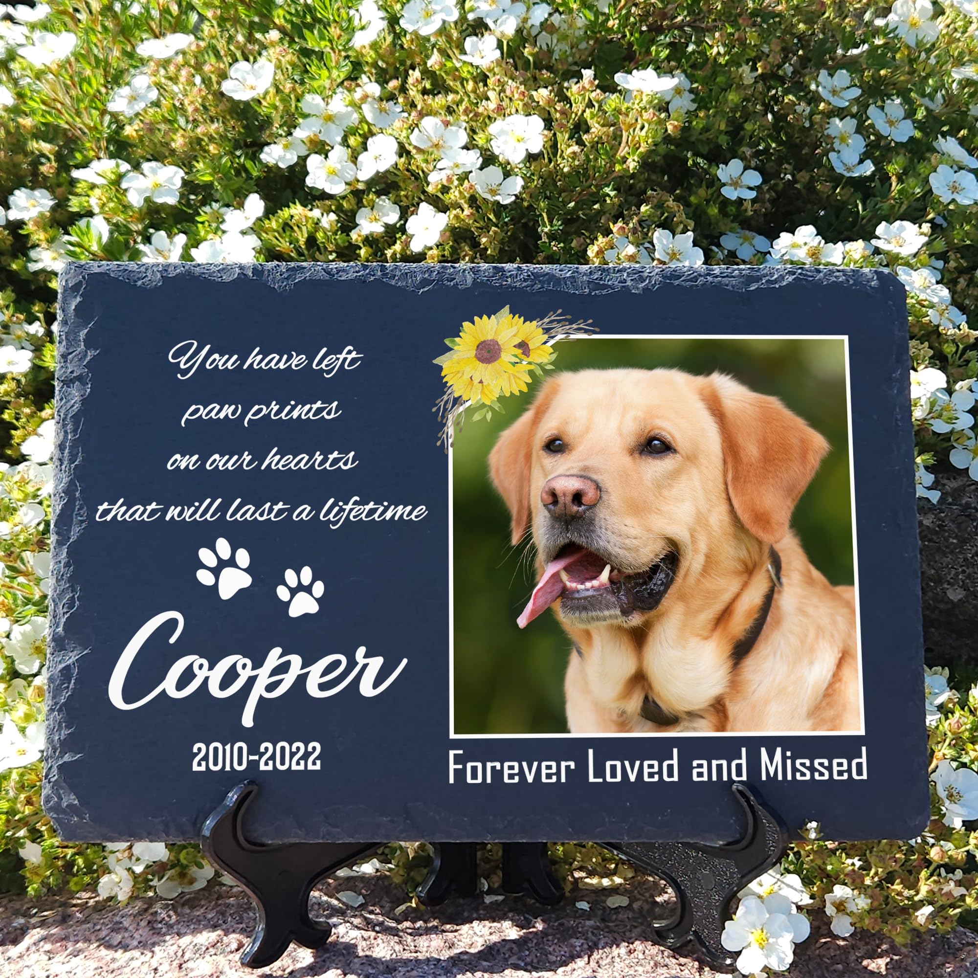 Targa Commemorativa Personalizzata Per Animali | Ardesia 20x30 Cm Con Foto E Nome - Resistente Alle Intemperie - Foto 2