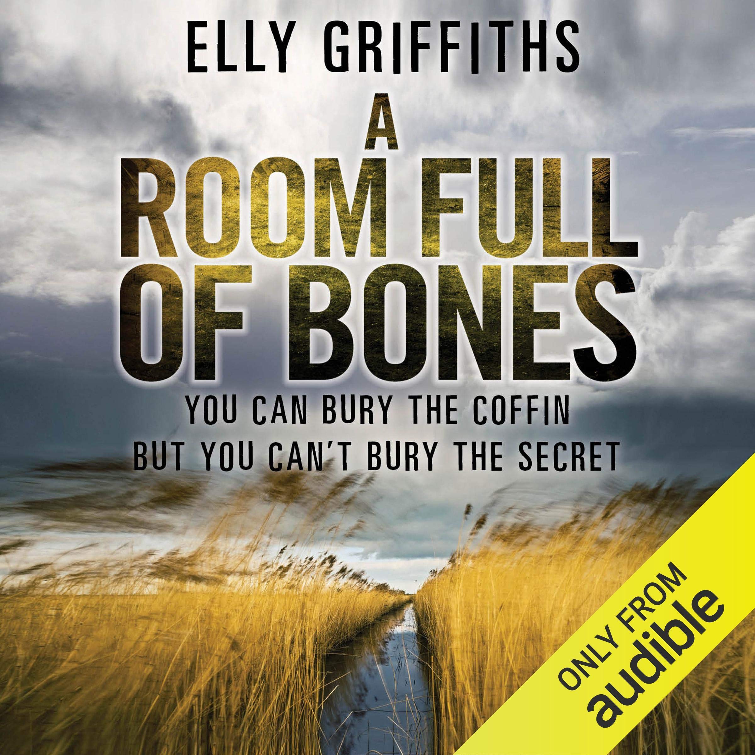 Cover art for A Room Full of Bones