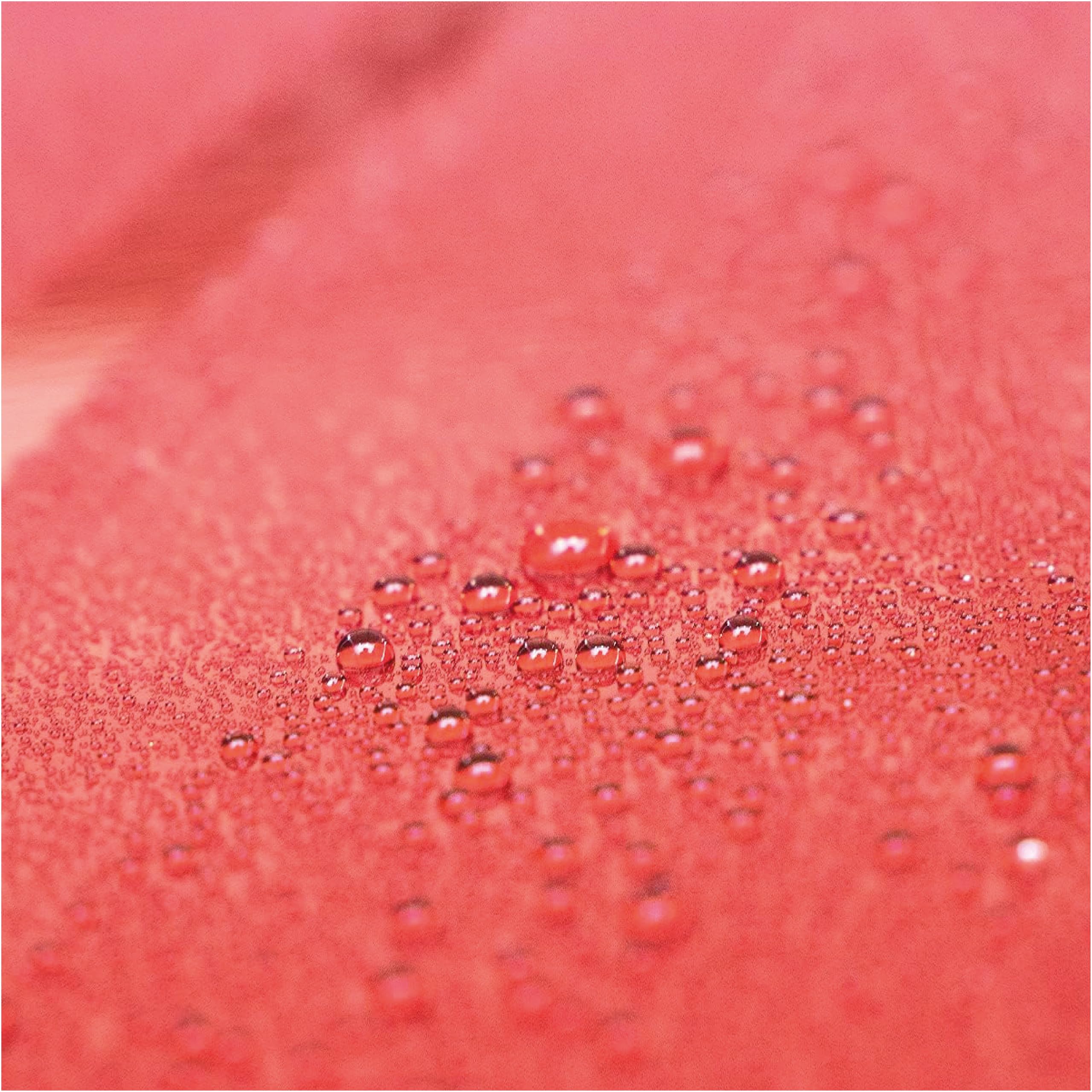Ma-Fra, Maniac Car Detailing Line,Formato 1L, Ceramic Ultra Speed Wax, Cera Premium Spray Sigillante Idrofobica con Polimeri Ceramici SiO2 per Carrozzeria Auto, Crea Scudo Protettivo Autopulente