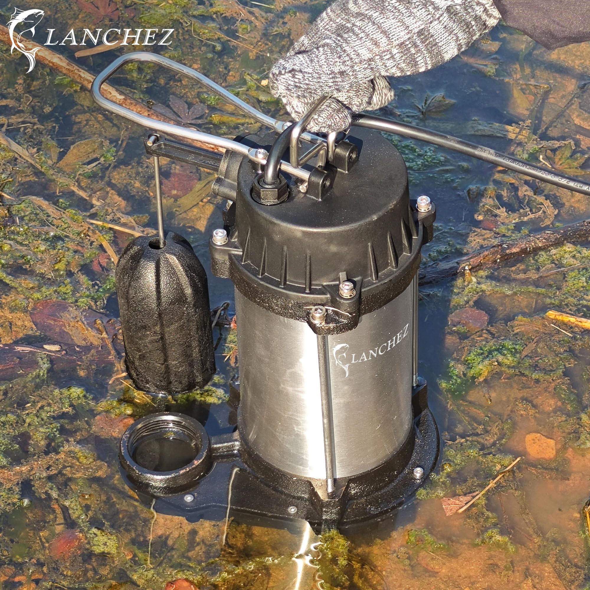 Amazon.co.jp: LANCHEZ 1/2 HP 水中鋳鉄とステンレススチール排水
