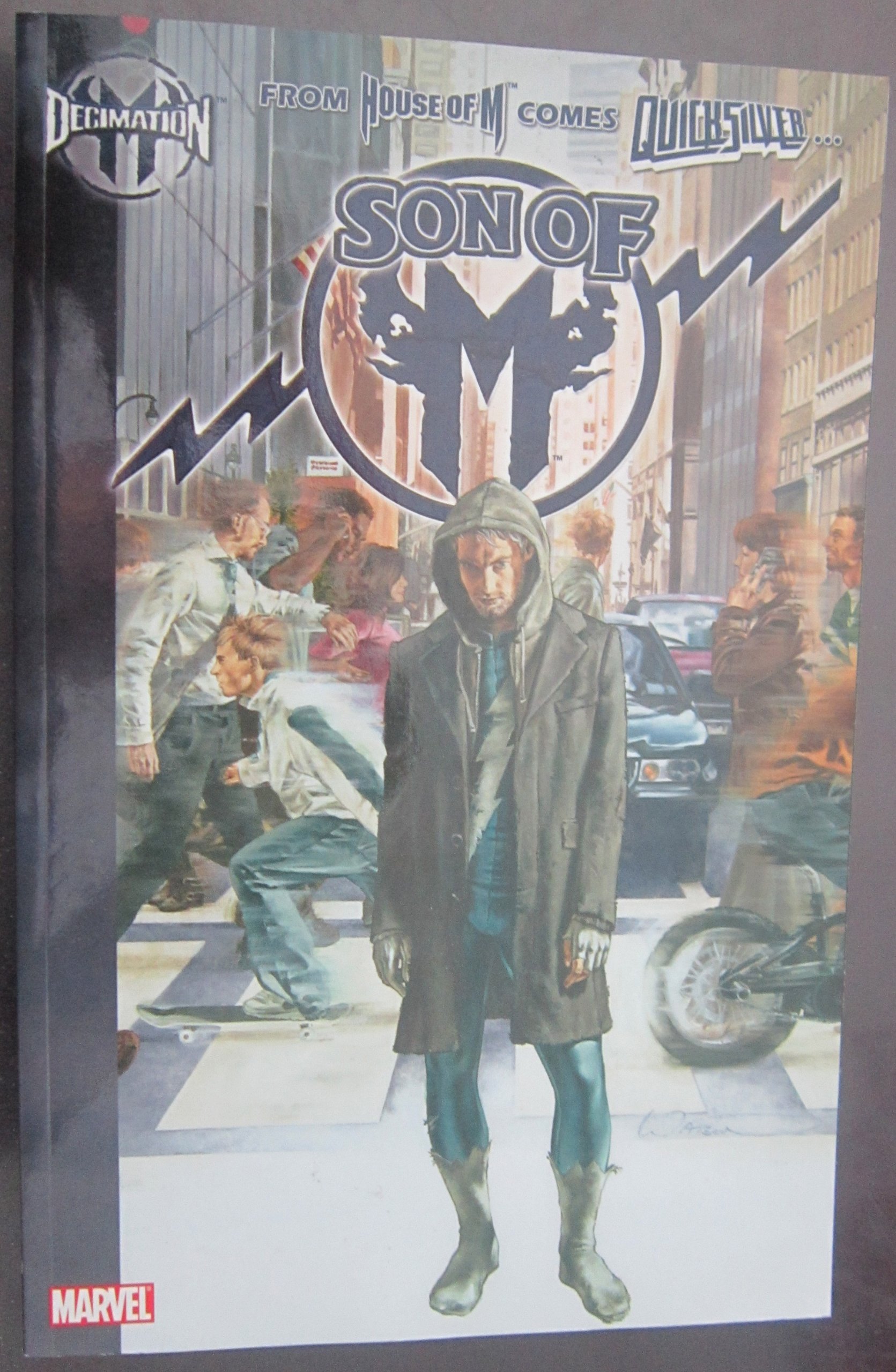 Decimation: X-Men - Son of M (House of M) Paperback – January 1, 2006