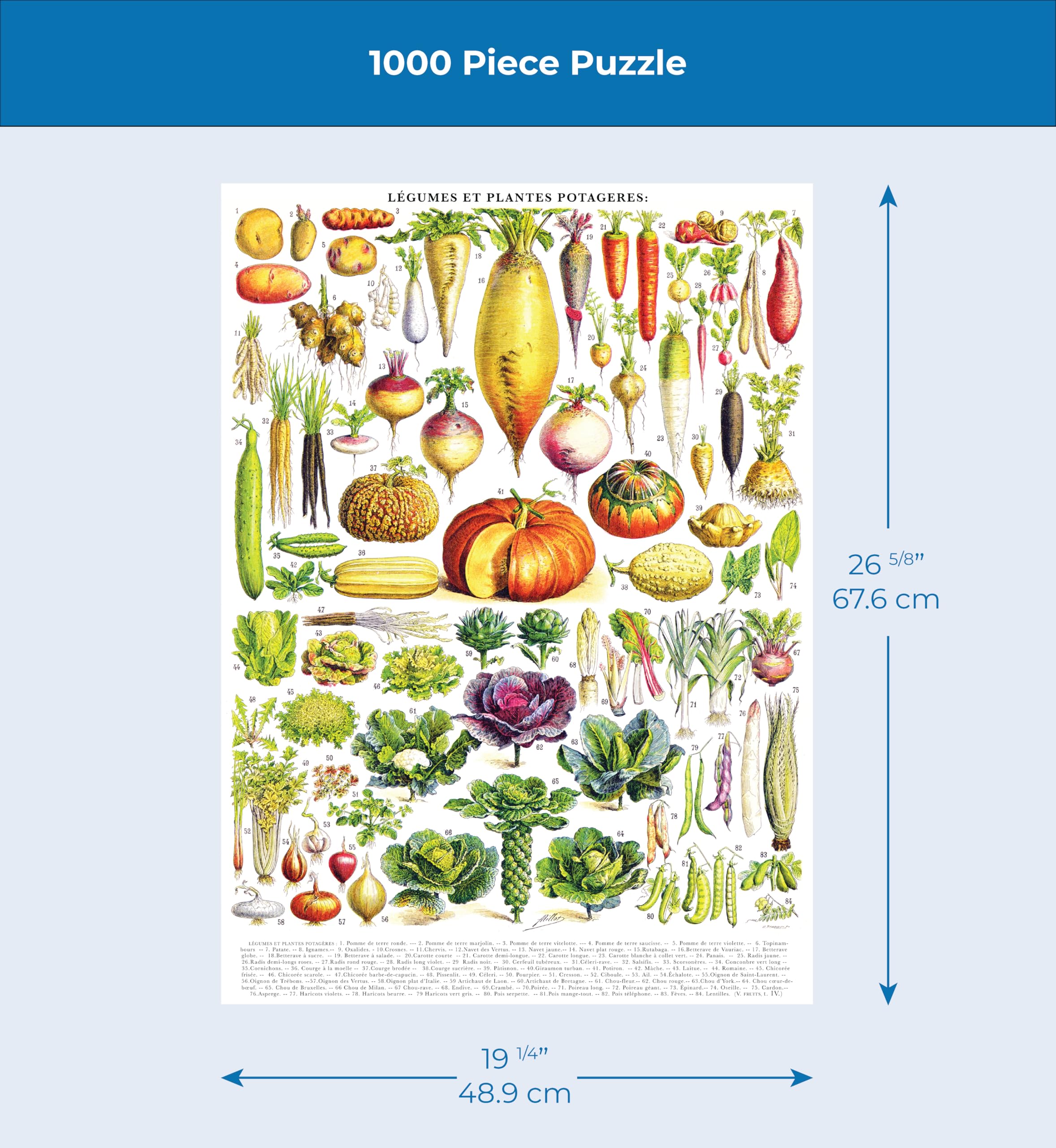 Amazon.co.jp: Adolphe Philip Millo作 New York Puzzle Company
