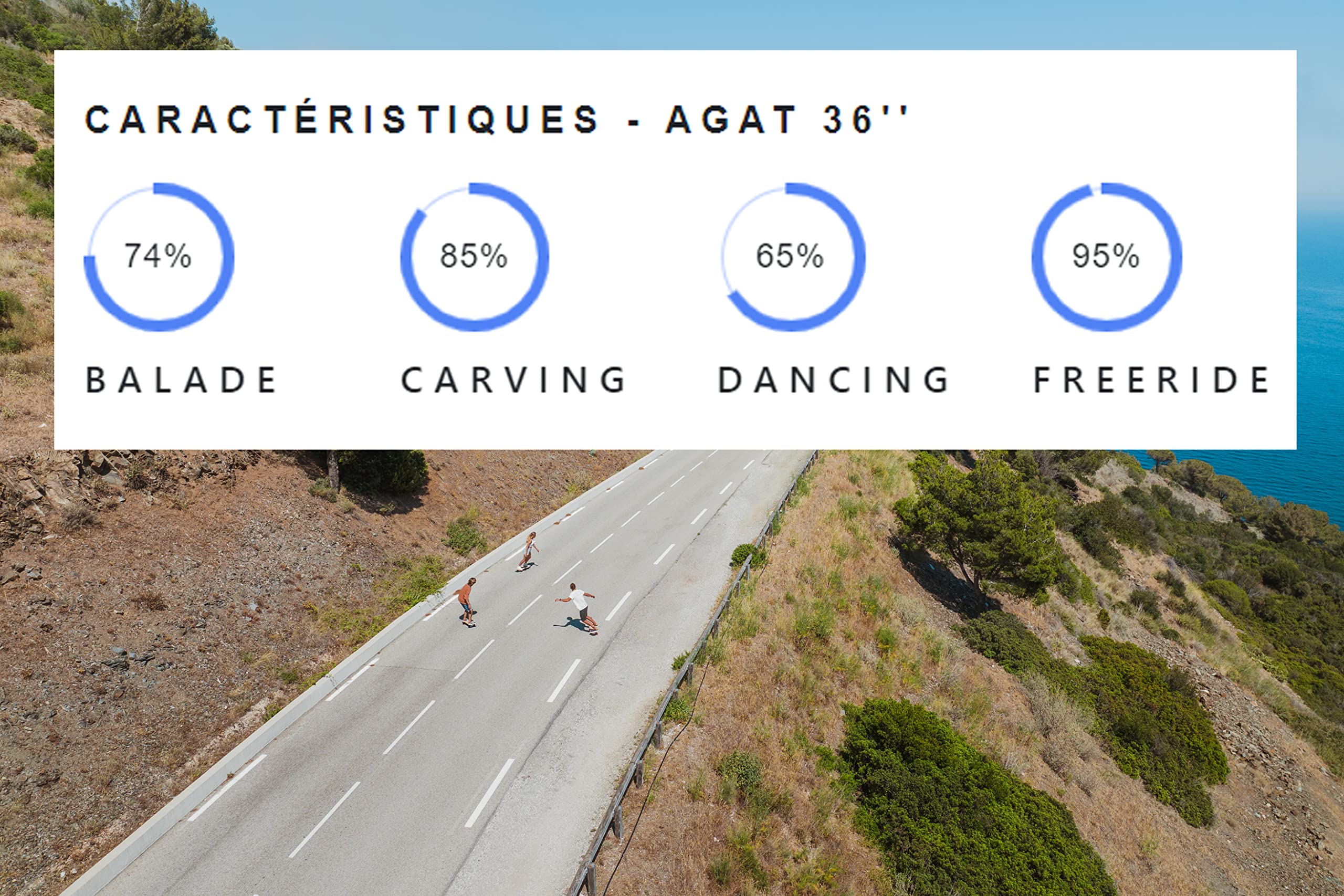 Coasto - Surfskate - Skateboard per Skatepark, Street, Pumptrack e Surf - Tavola ideale per Cruiser - All Terreno - Trucks Ottimizzati - Deck Pad trasparente e aderente