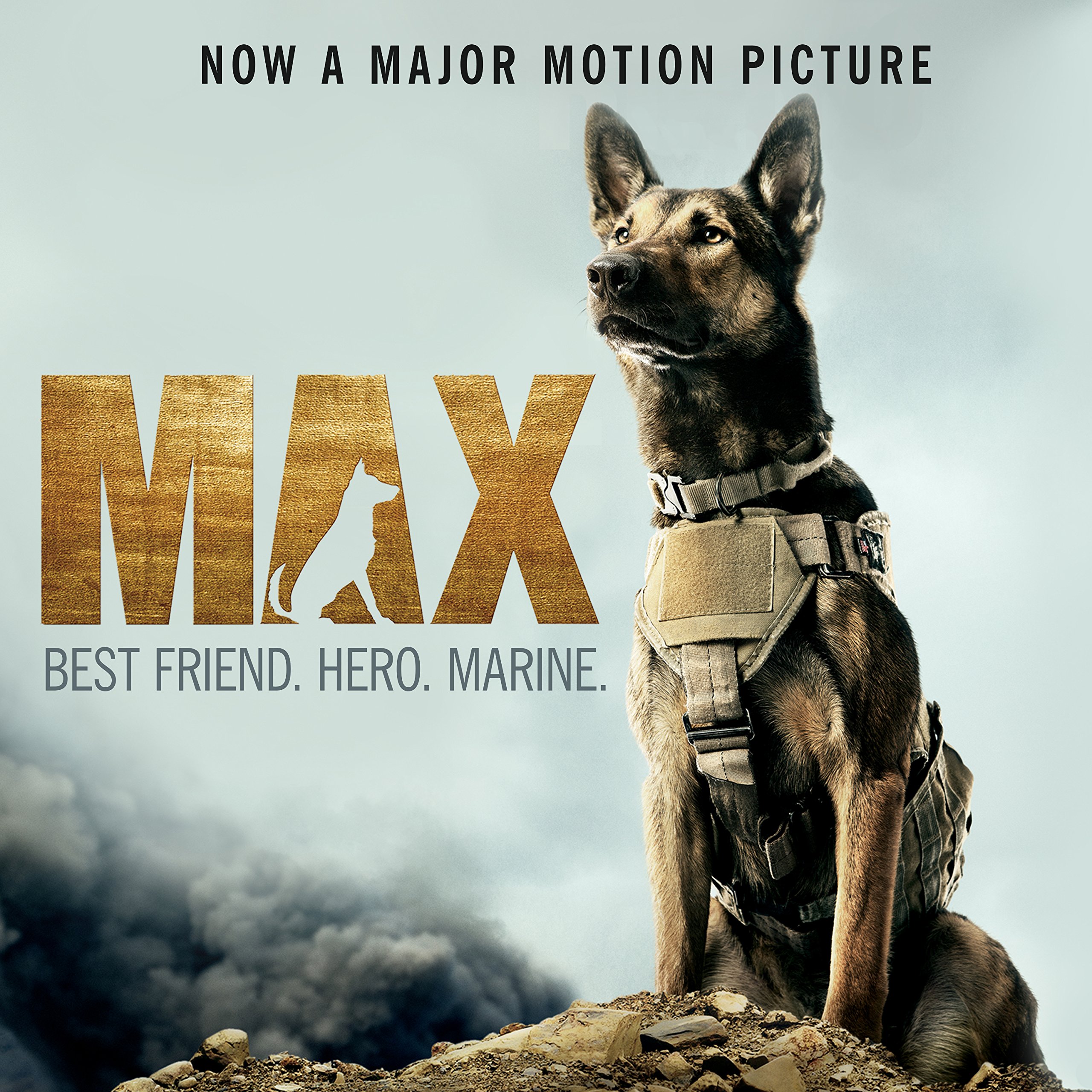 Cover art for Max