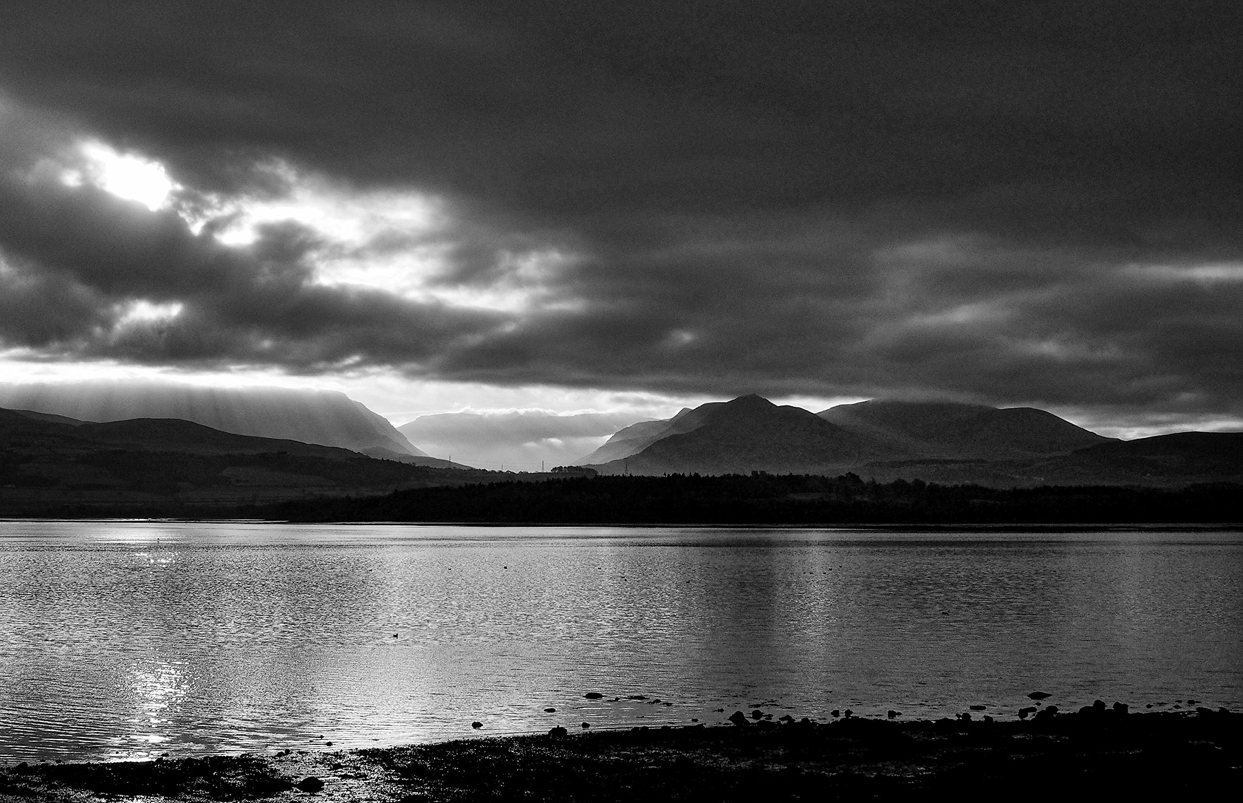 Amazon | Kowa 単焦点レンズ PROMINAR 25mm F1.8 グリーン マイクロ