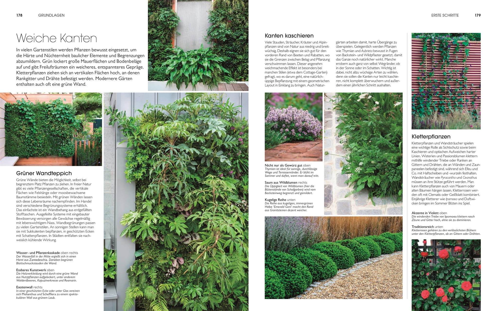 Gartendesign - Die große Enzyklopädie: Planen und gestalten. Aktualisierte Neuausgabe. Mit Step-by-Step-Anleitungen, über 1.500 Fotos und Illustrationen