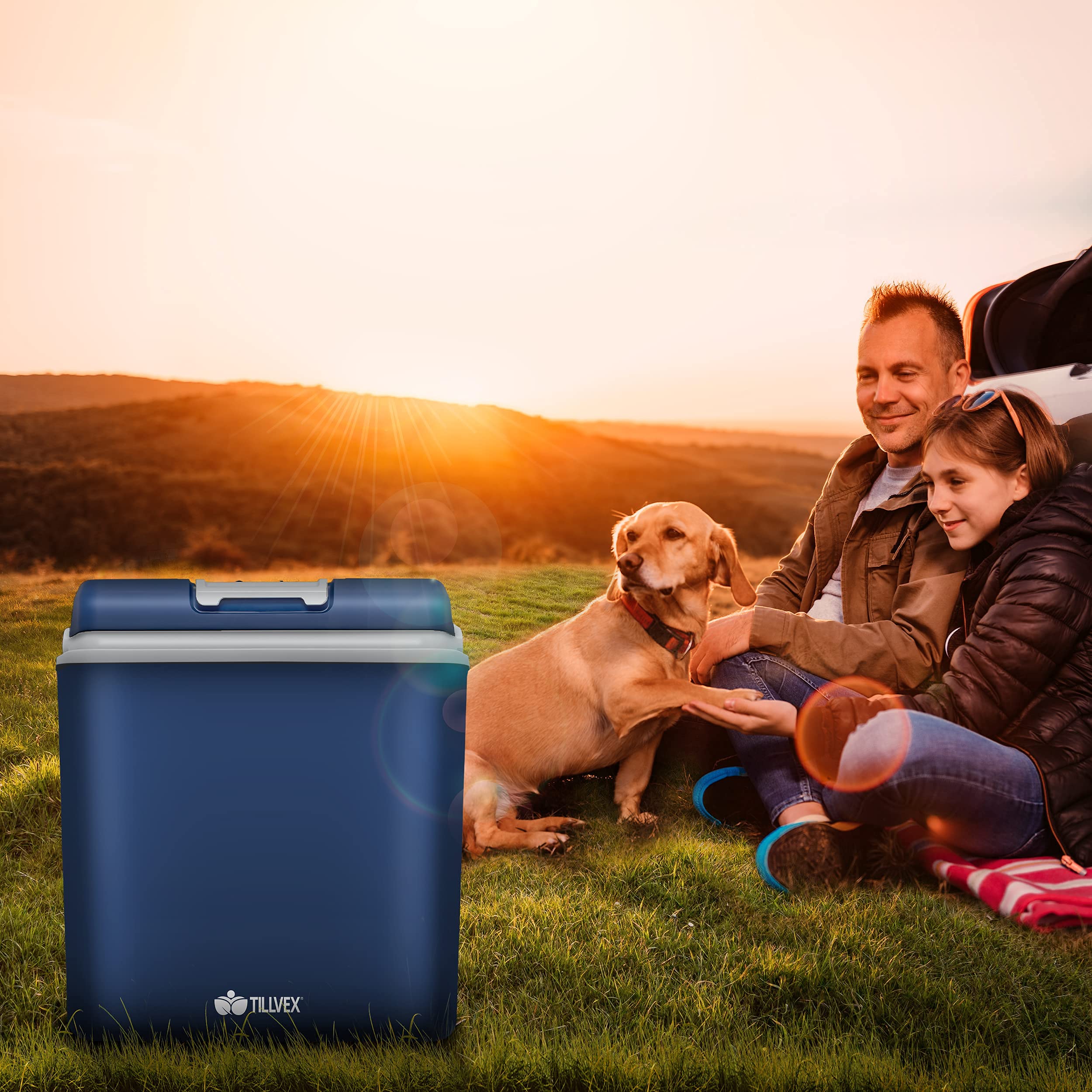 tillvex Lodówka elektryczna 24 l, mini lodówka 230 V i 12 V, do samochodów osobowych, na kemping, chłodzi i ogrzewa, tryb ECO