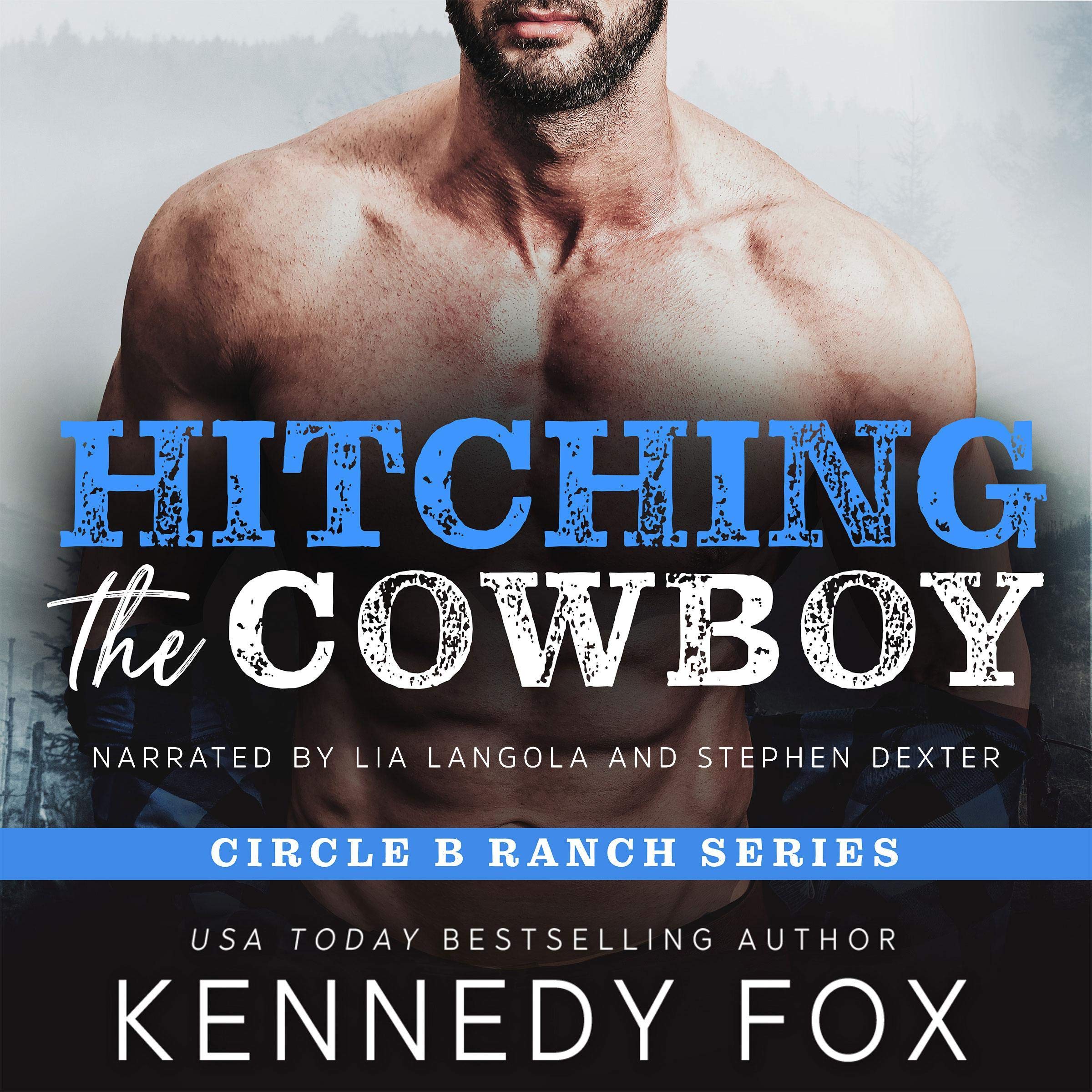 Cover art for Hitching the Cowboy