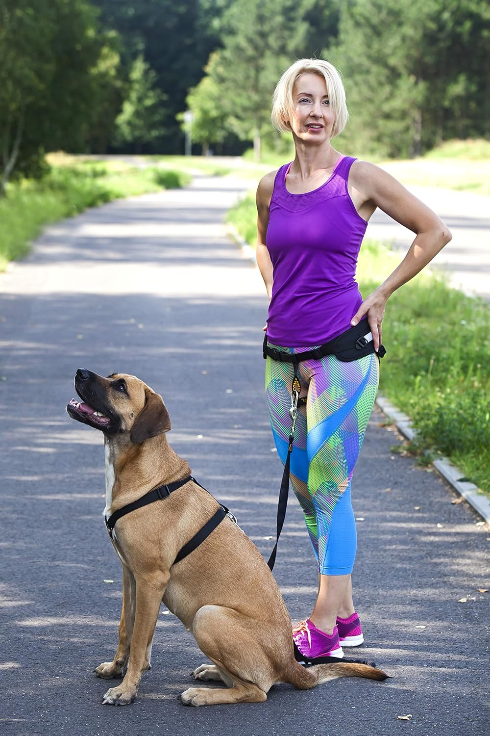 DINGO Canicross Belt 4-in-1 Universal, Adjustable,...