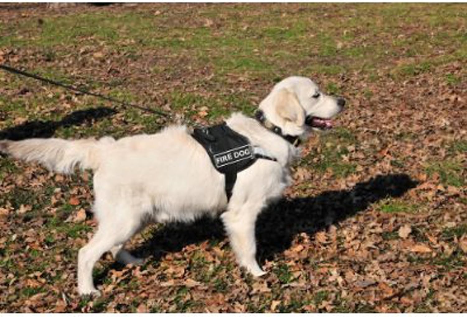DT Universal No Pull Dog Harness, Fire Dog, Black, X-Large, Fits Girth Size: 36-Inch to 47-Inch
