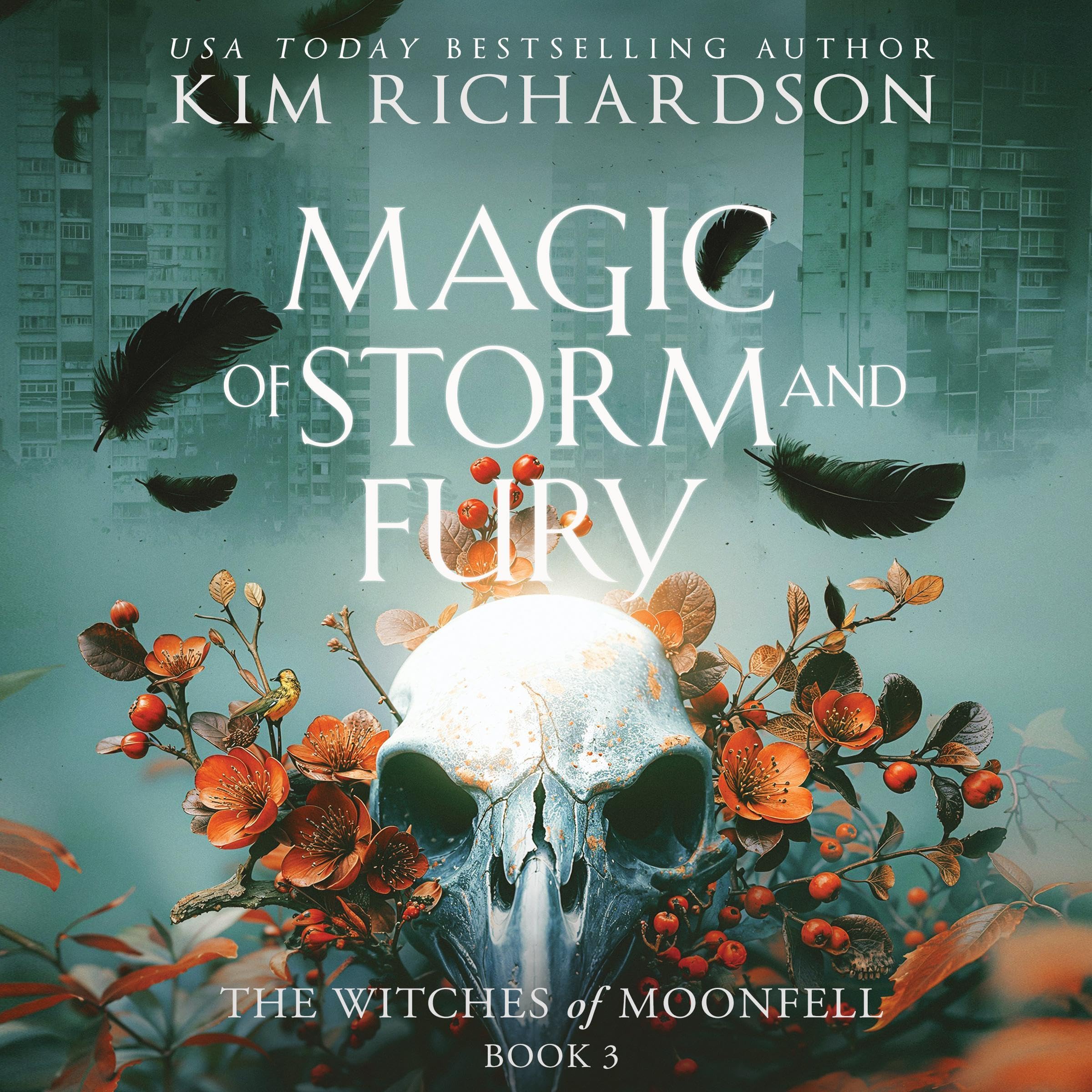 Cover art for Magic of Storm and Fury
