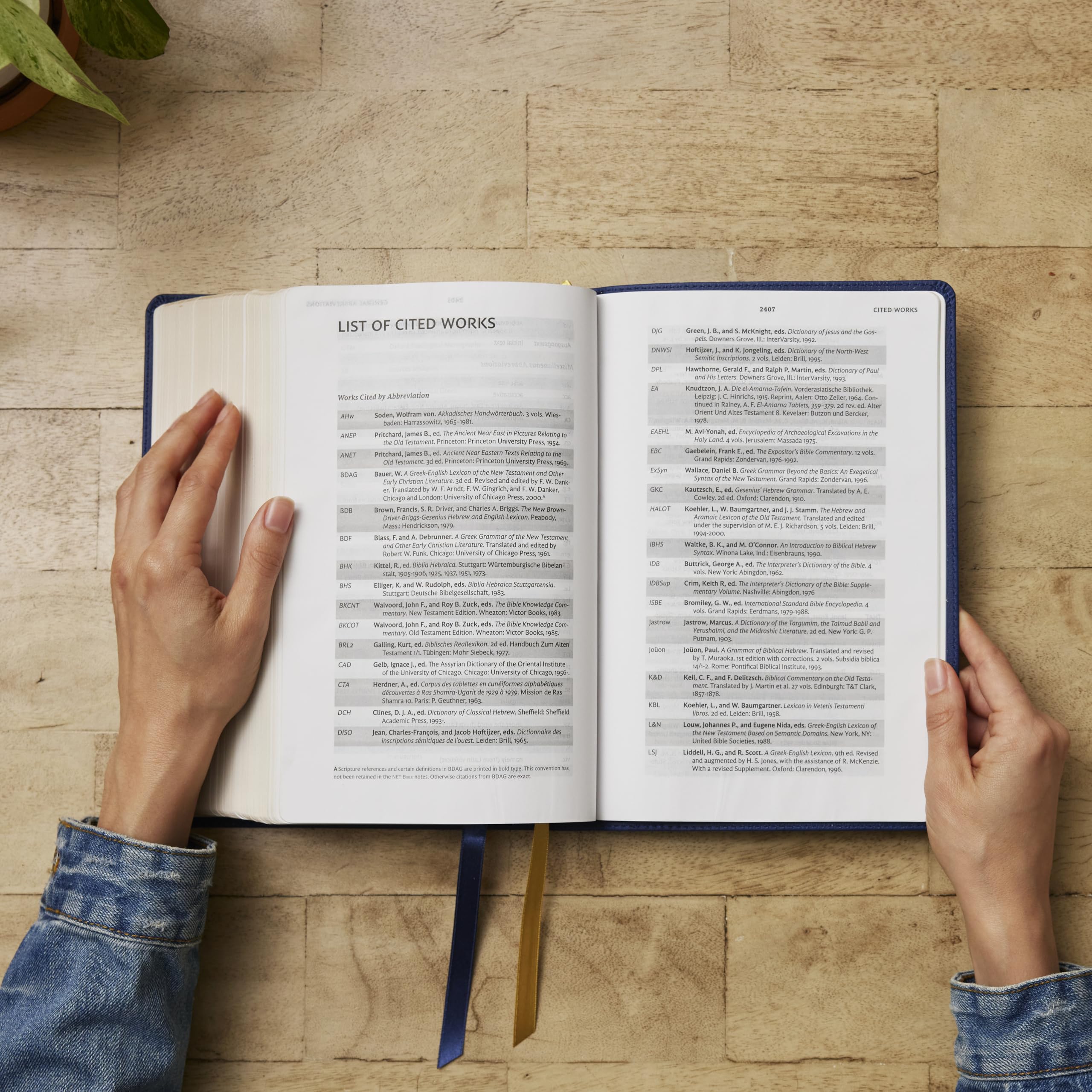 Net Bible, Full Notes Edition (Net, Blue Leathersoft, Comfort Print): Holy Bible