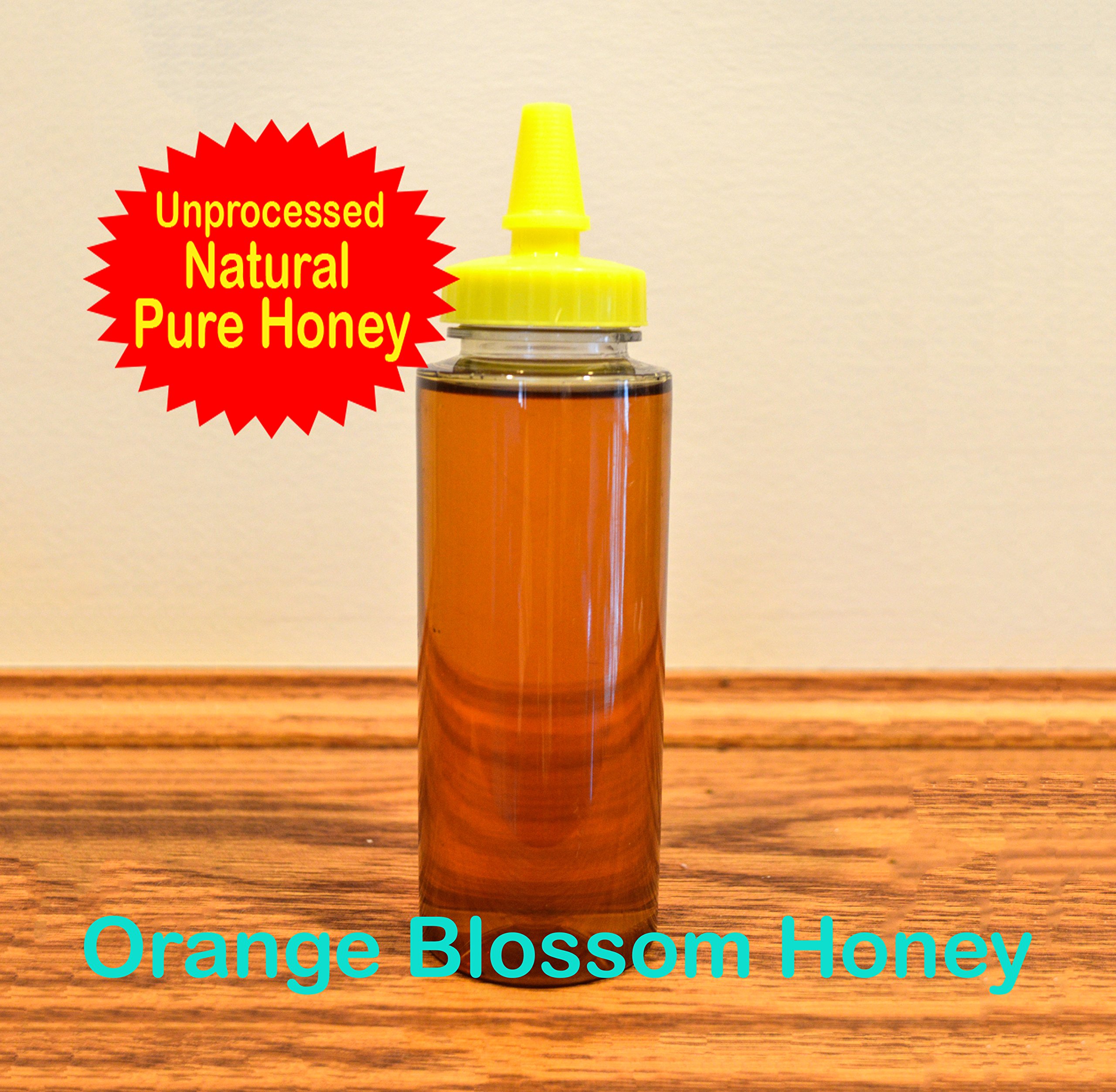100% Pure Raw Orange Blossom Honey in 12 Oz. Squeezable Bottle