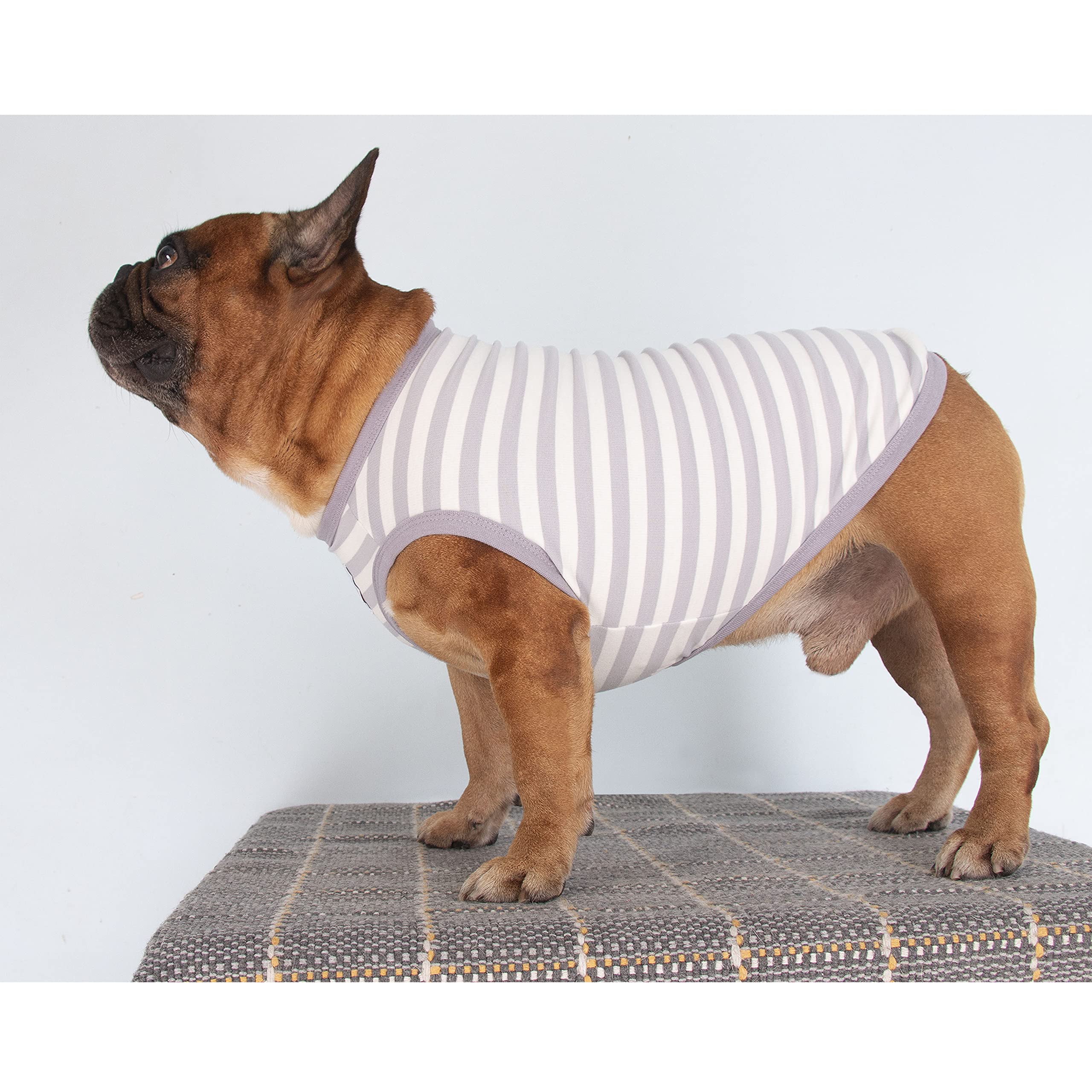 Hunde-Shirt Für Französische Bulldogge – Gestreiftes Tanktop Aus Baumwolle, Dehnbar & Atmungsaktiv | Für Kleine Hunde, Mit Leinenloch