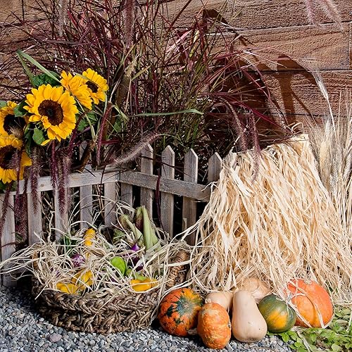 Miniatura 5 de Super Moss (30122) rafia, terracota, 2 onzas