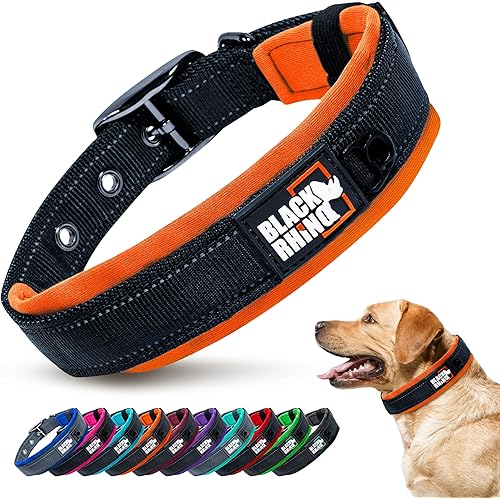 Black Rhino Dog Collars for Medium Dogs - Adjustable Reflective Heavy Duty Dog Collar with Ultra-Soft Neoprene Padding - Weatherproof, Durable, and Comfortable for Active Dogs - Orange and Black