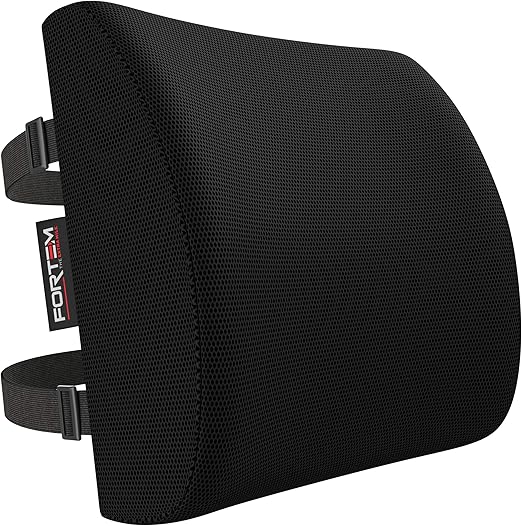 FORTEM Lumbar Support Cushion, Back Support for Office Chair and Car Seat, Back Rest for Gaming Chair, Memory Foam Pillow, Desk Chair Cushion, Breathable & Washable Cover, Adjustable Straps
