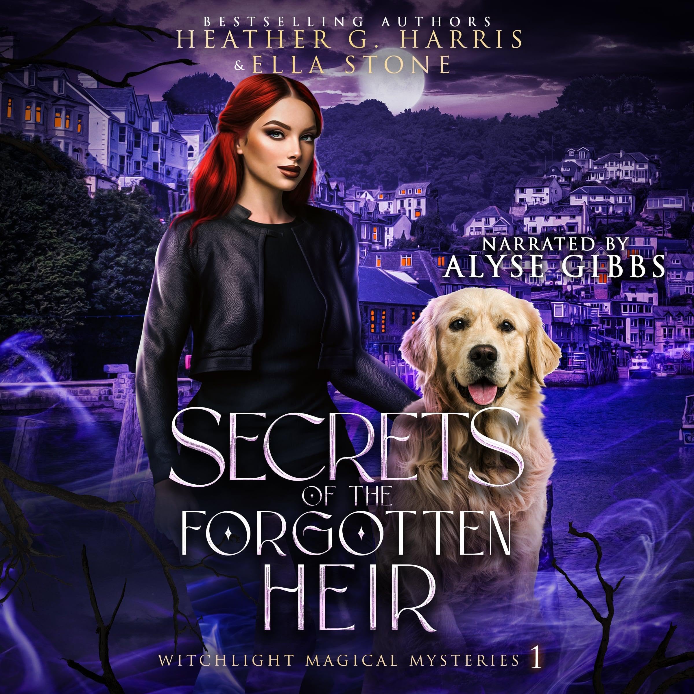 Cover art for Secrets of the Forgotten Heir