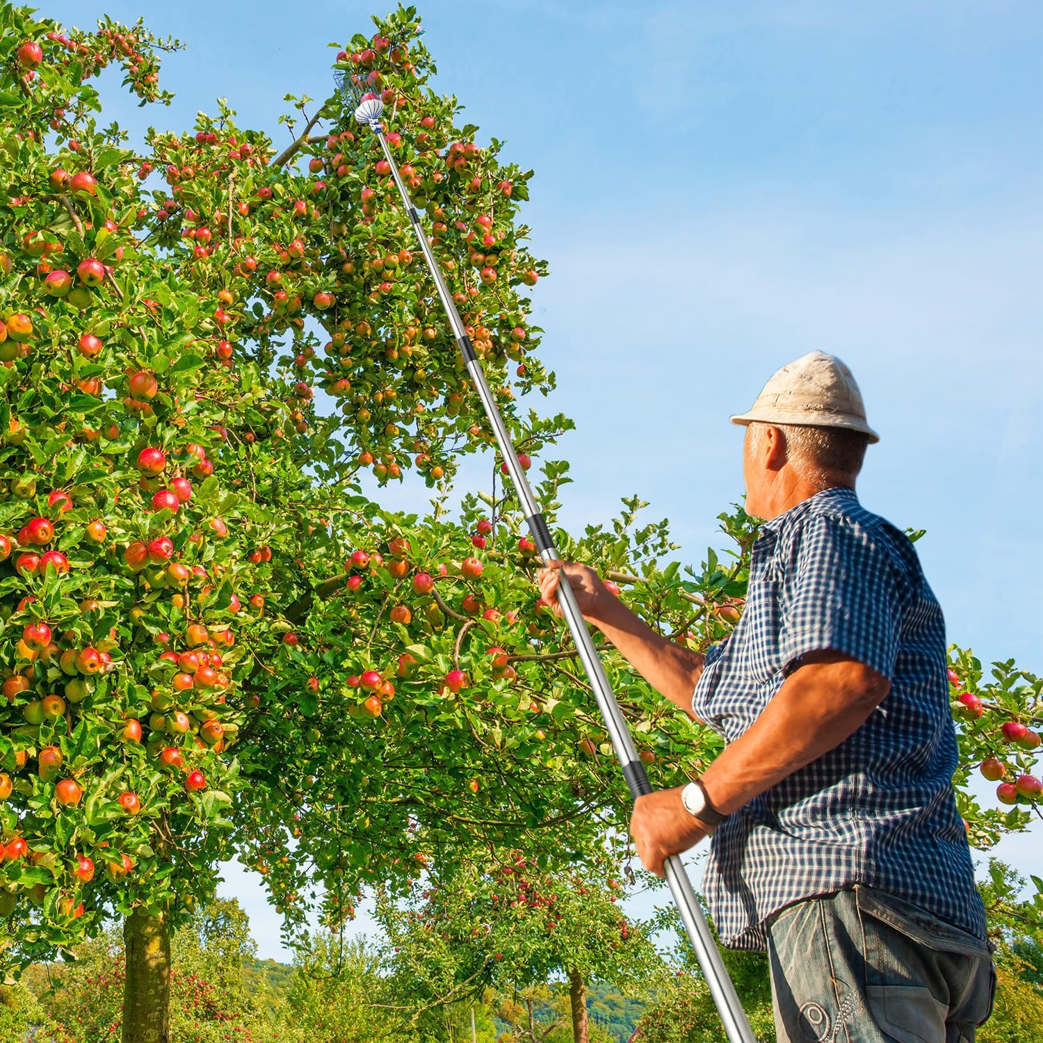 MaidMAX Recogedor de Frutas, Recolector de Frutas, Palo para Recoger Manzanas, Peras, Duraznos, 4 Metros de Largo