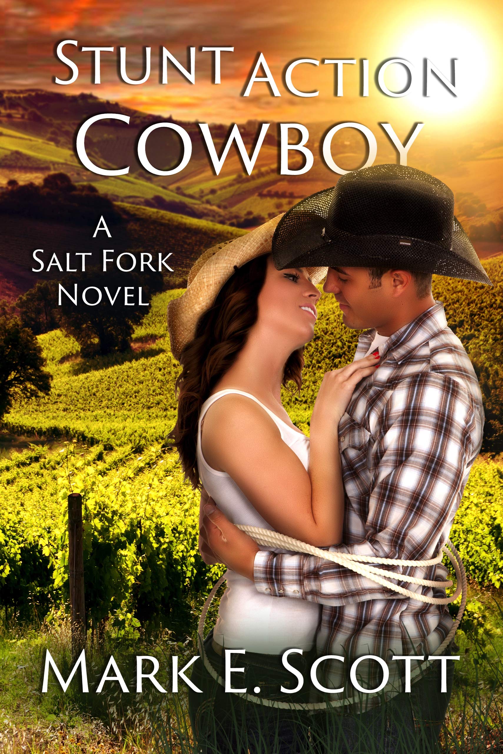Stunt Action Cowboy: A Salt Fork Novel