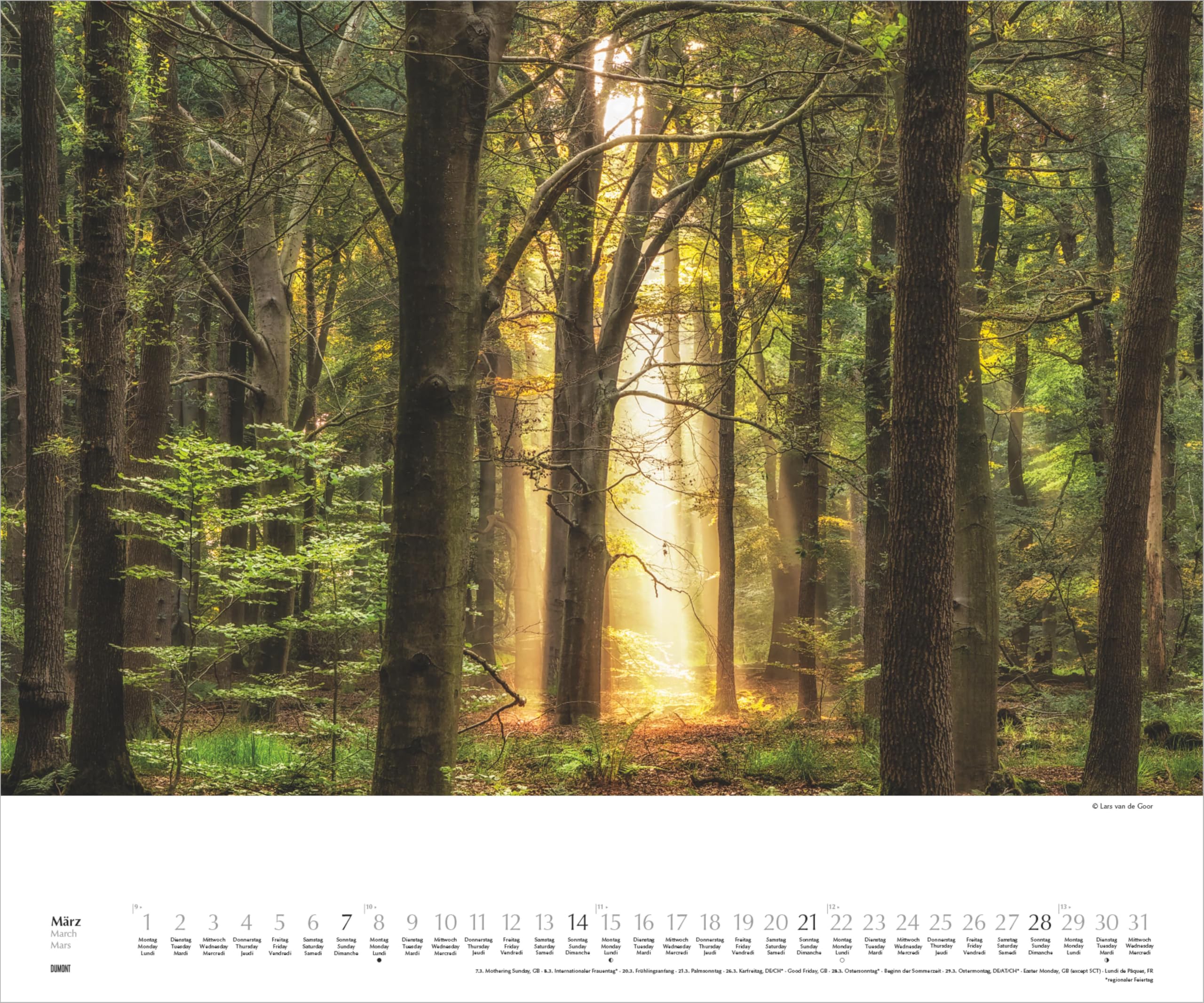Waldspaziergang 2027: Wandkalender 60x50 cm mit Naturfotografie von Lars van de Goor und 3-sprachigem Kalendarium | Wandkalender 60x50 cm mit Naturfotografie von Lars van de Goor und 3-sprachigem Kalendarium