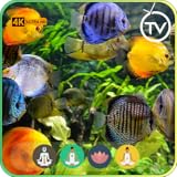 Tranquil Underwater Escapes: Enchanting Fish Aquarium Relaxation for 4K & 8K TVs, Christmas Theme, and Serene Meditative Vibes For TV - NO ADS