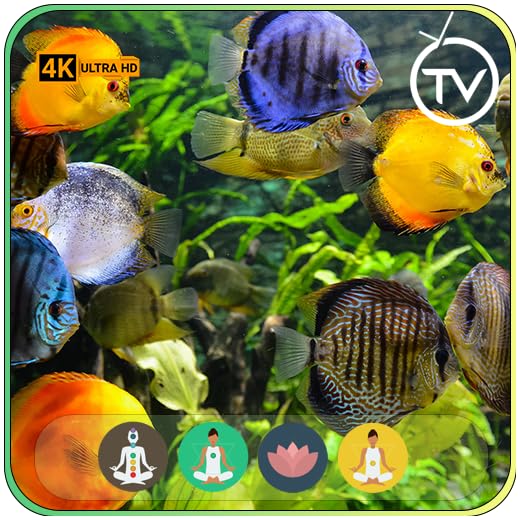 Tranquil Underwater Escapes: Enchanting Fish Aquarium Relaxation for 4K & 8K TVs, Christmas Theme, and Serene Meditative Vibes For TV - NO ADS