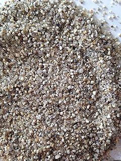 Fishzombie Aquatics Silver River Sand