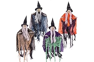 JOYIN Witch Halloween Decorations Indoor