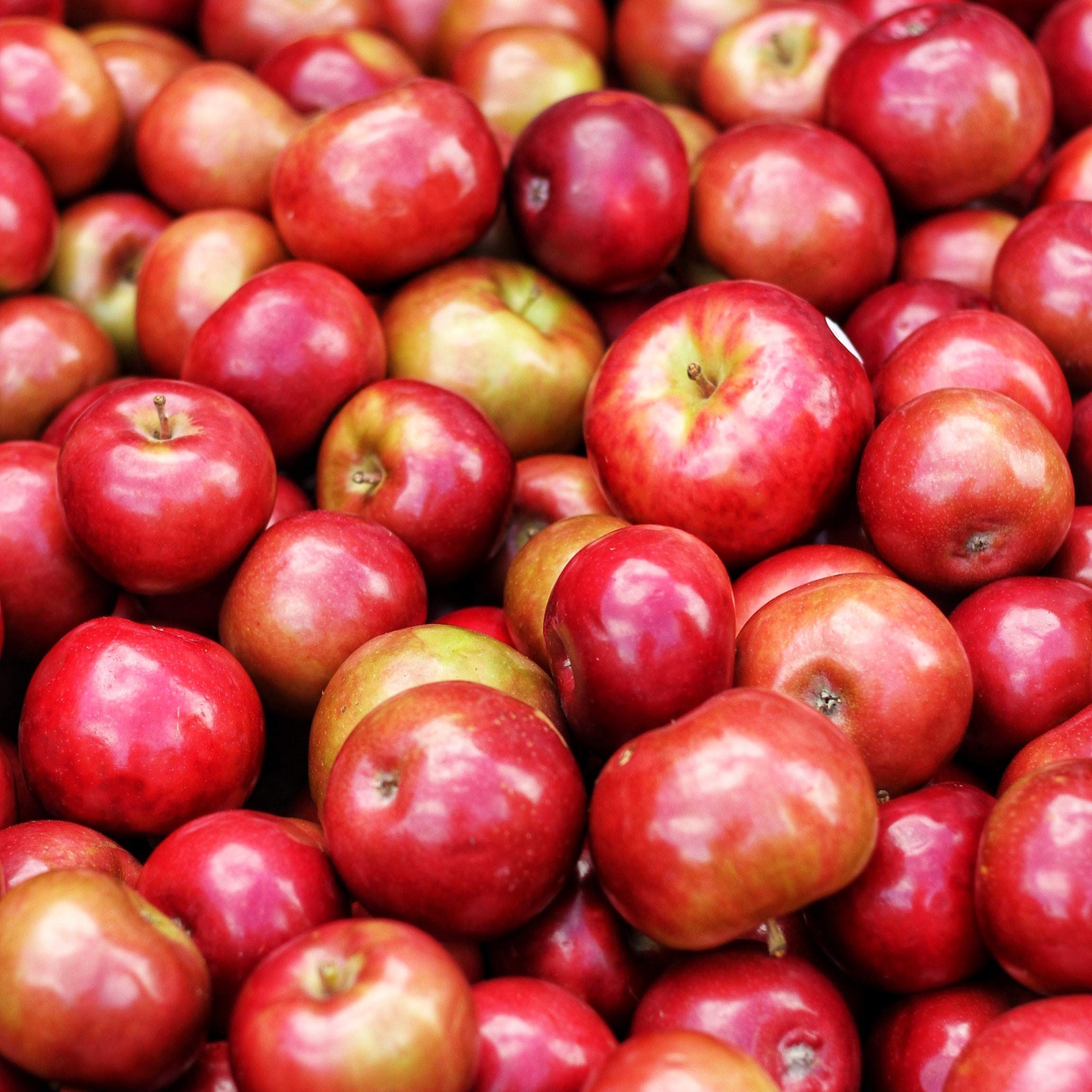 MARCO POLO Dunst-Obst APFEL-STÜCKE 12x Füllmenge 4,6KG ATG 4,05KG eingelegte Obst-Konserve für Apfel-Mus-Mark-Torten-Kuchen ohne Zuckerzusatz natürlich knackig spritzig-süß