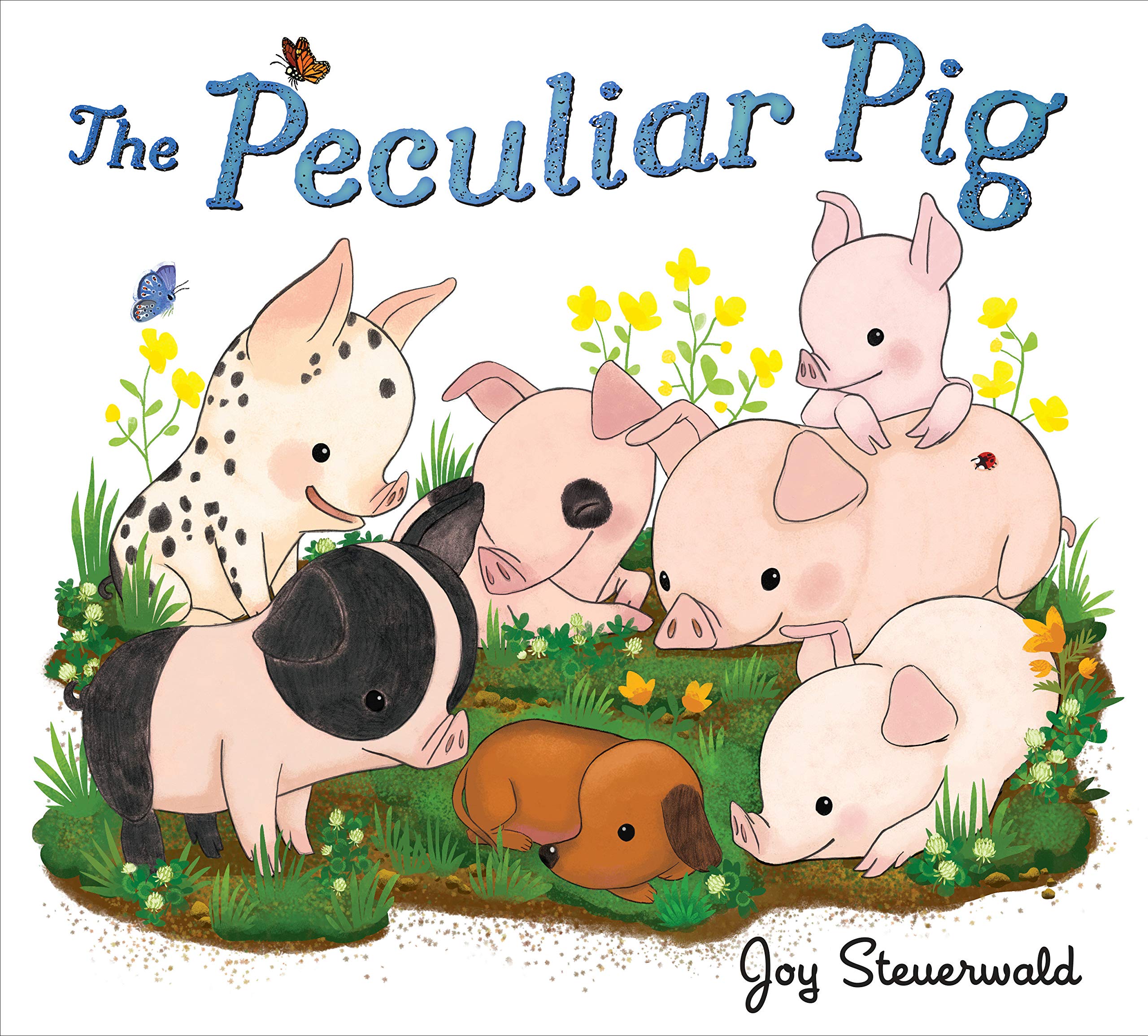 Amazon Peculiar Pig The Steuerwald Joy Adoption