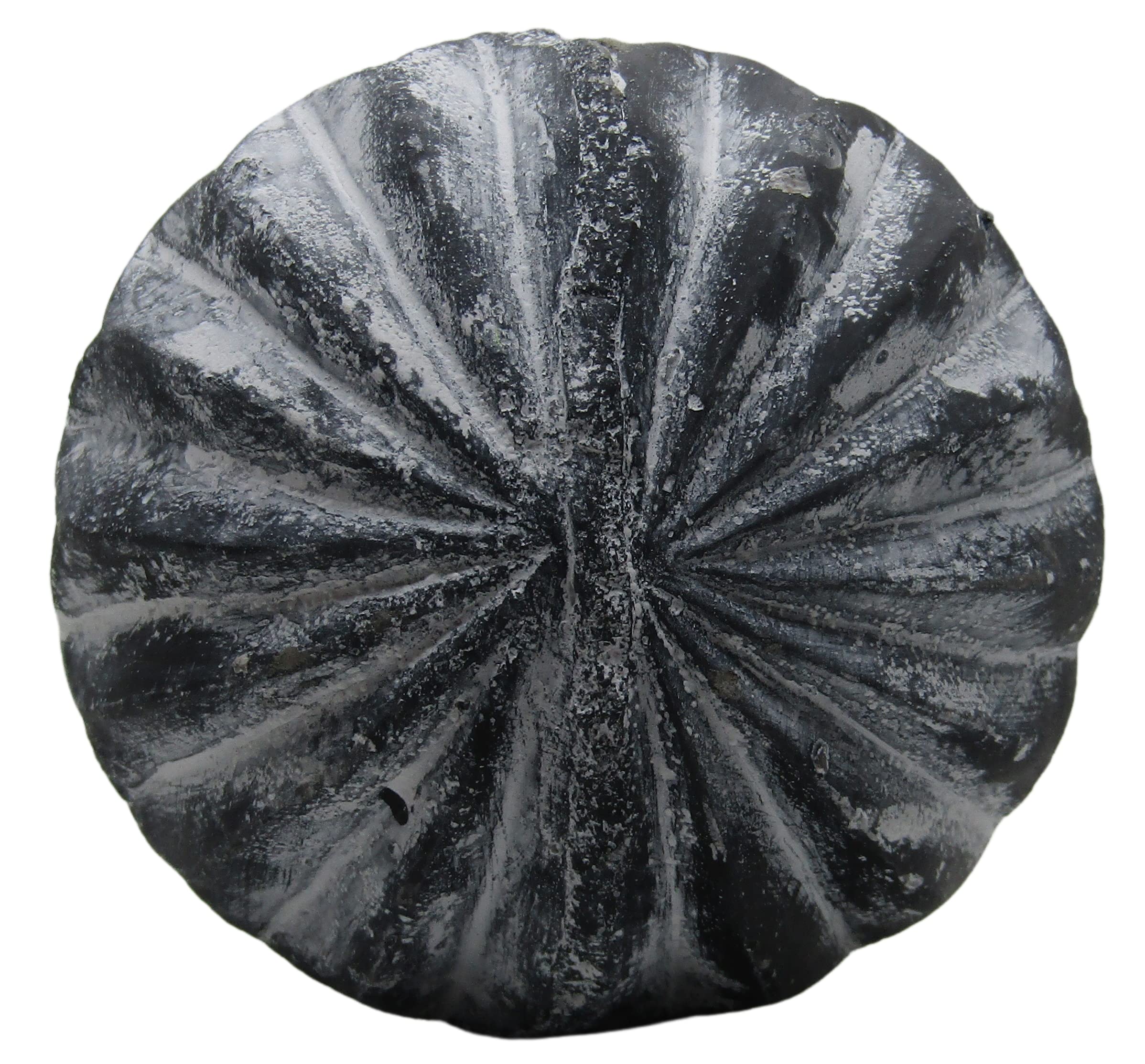 PD Home & Garden Sfera da giardino in calcestruzzo con diamante accentato bianco rustico, 10,2 cm di diametro