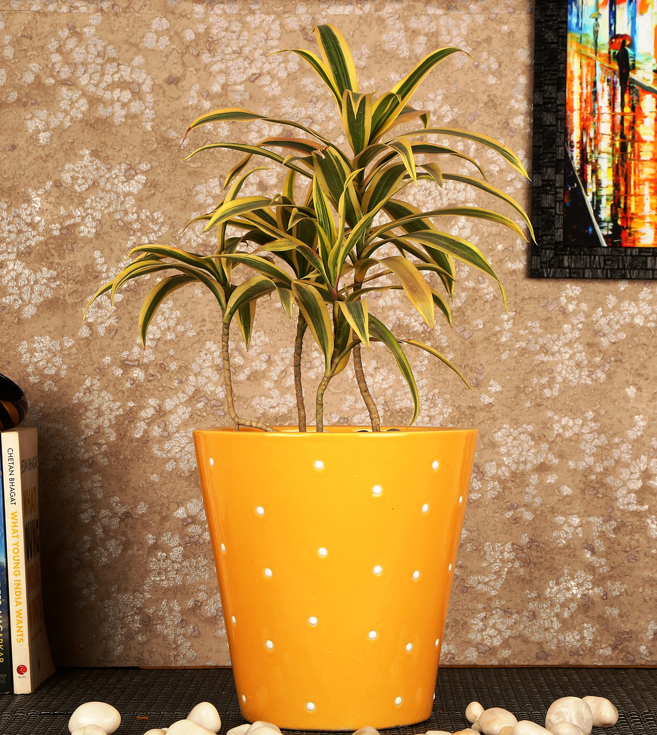 Justoriginals Balti Shape Big Ceramic Flower Pot with Dot Print
