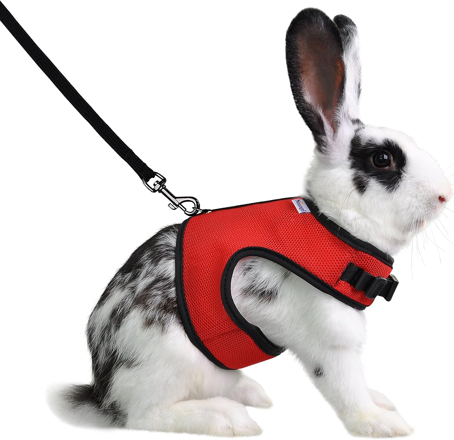 Niteangel Adjustable Soft Harness with Elastic Leash for Rabbits (XL, Red)
