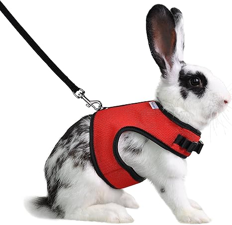 large rabbit harness