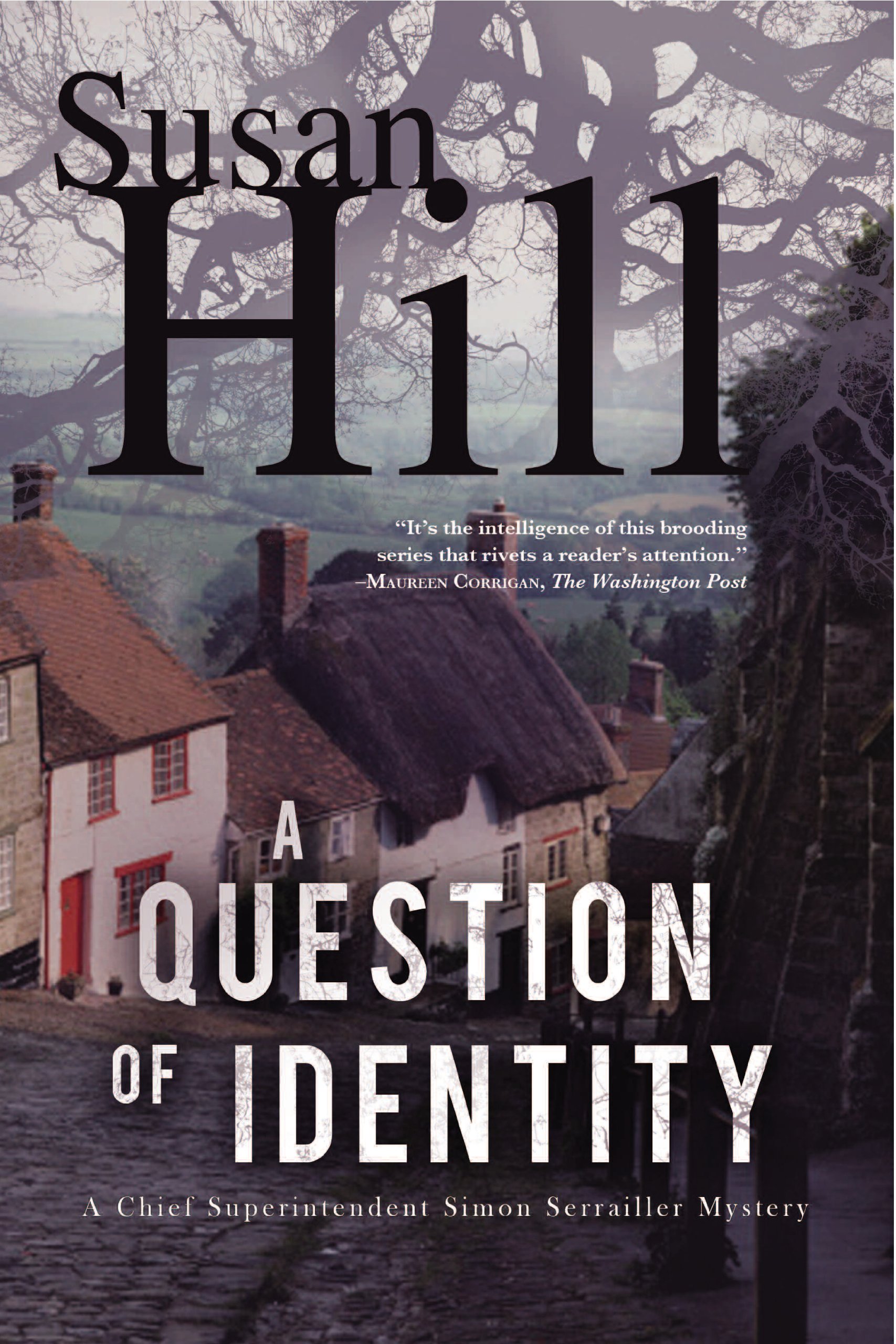 Buy A Question of Identity: A Simon Serrailler Mystery (Simon Serrailler series Book 7) — BookShops.in