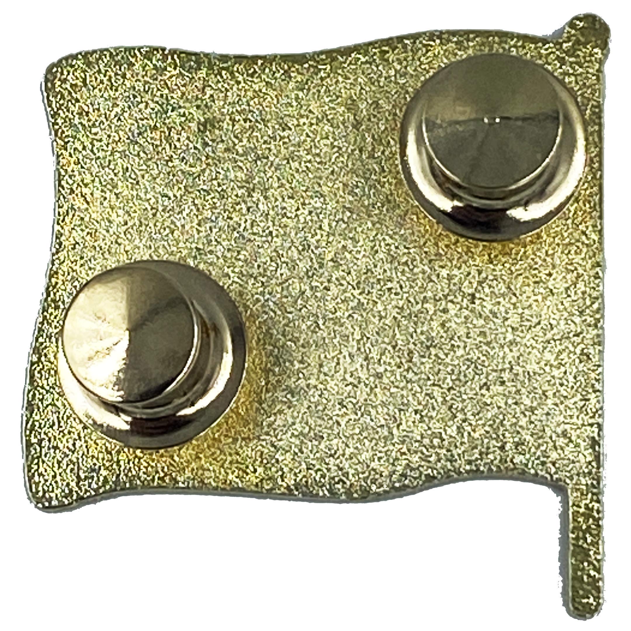 LEO Challenge Coins Thin Gray Line Corrections American Waving Flag Lapel Pin 1.25