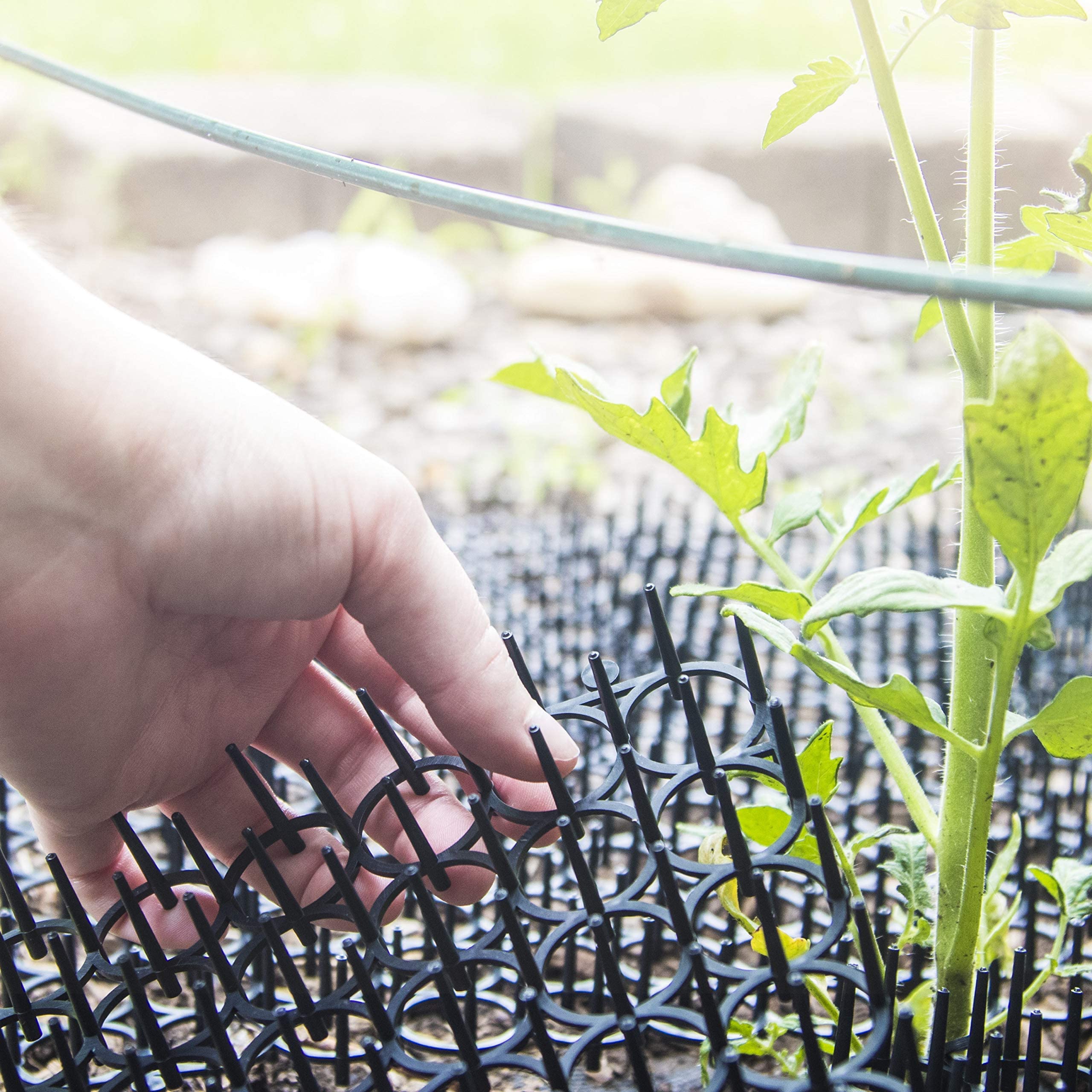 Homarden Cat Repellent Outdoor Cat Scat Mat (Set of 10) 16 X 13 Inch