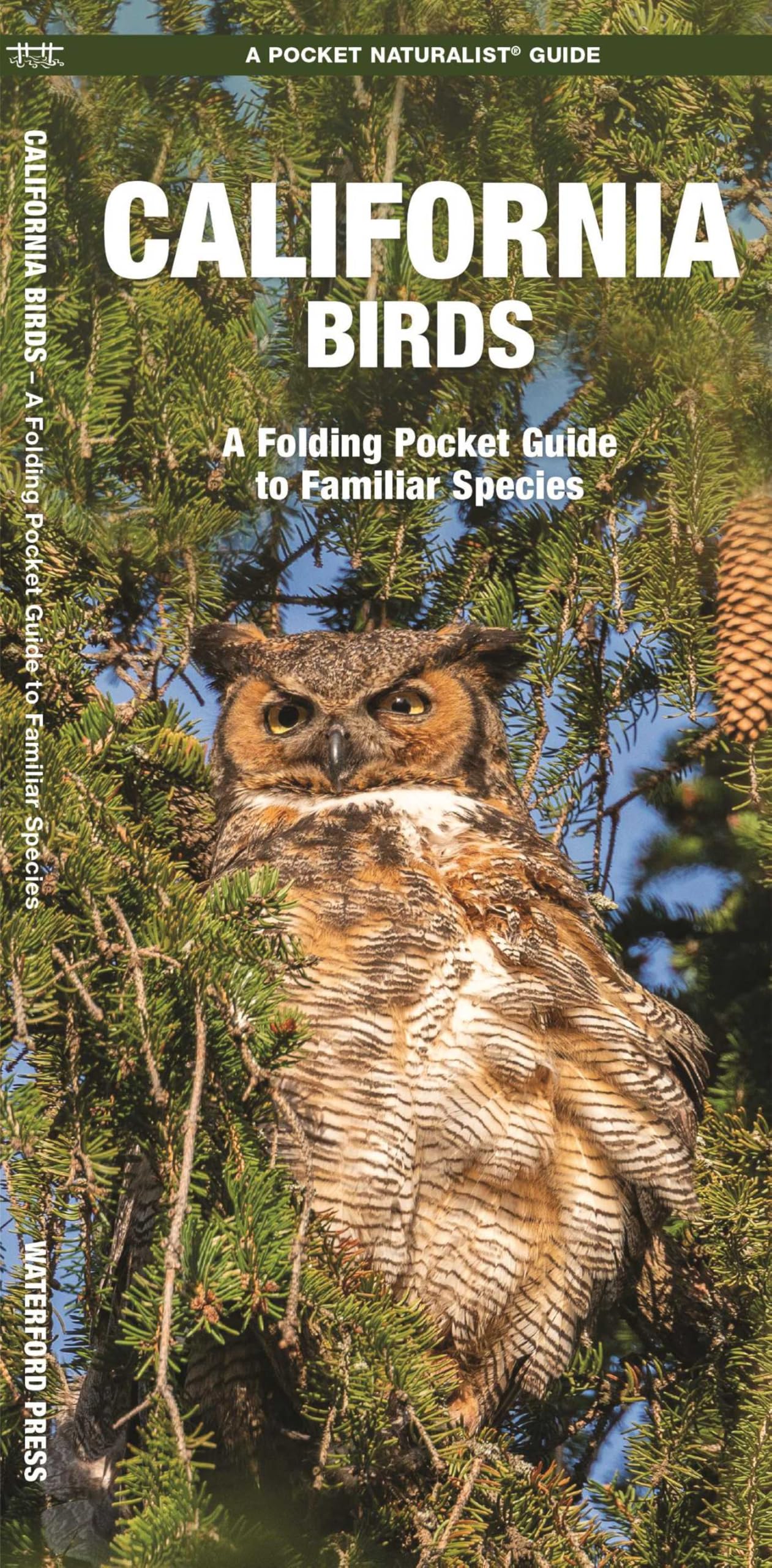 California Birds: A Folding Pocket Guide to Familiar Species (Pocket Naturalist Guide Series)
