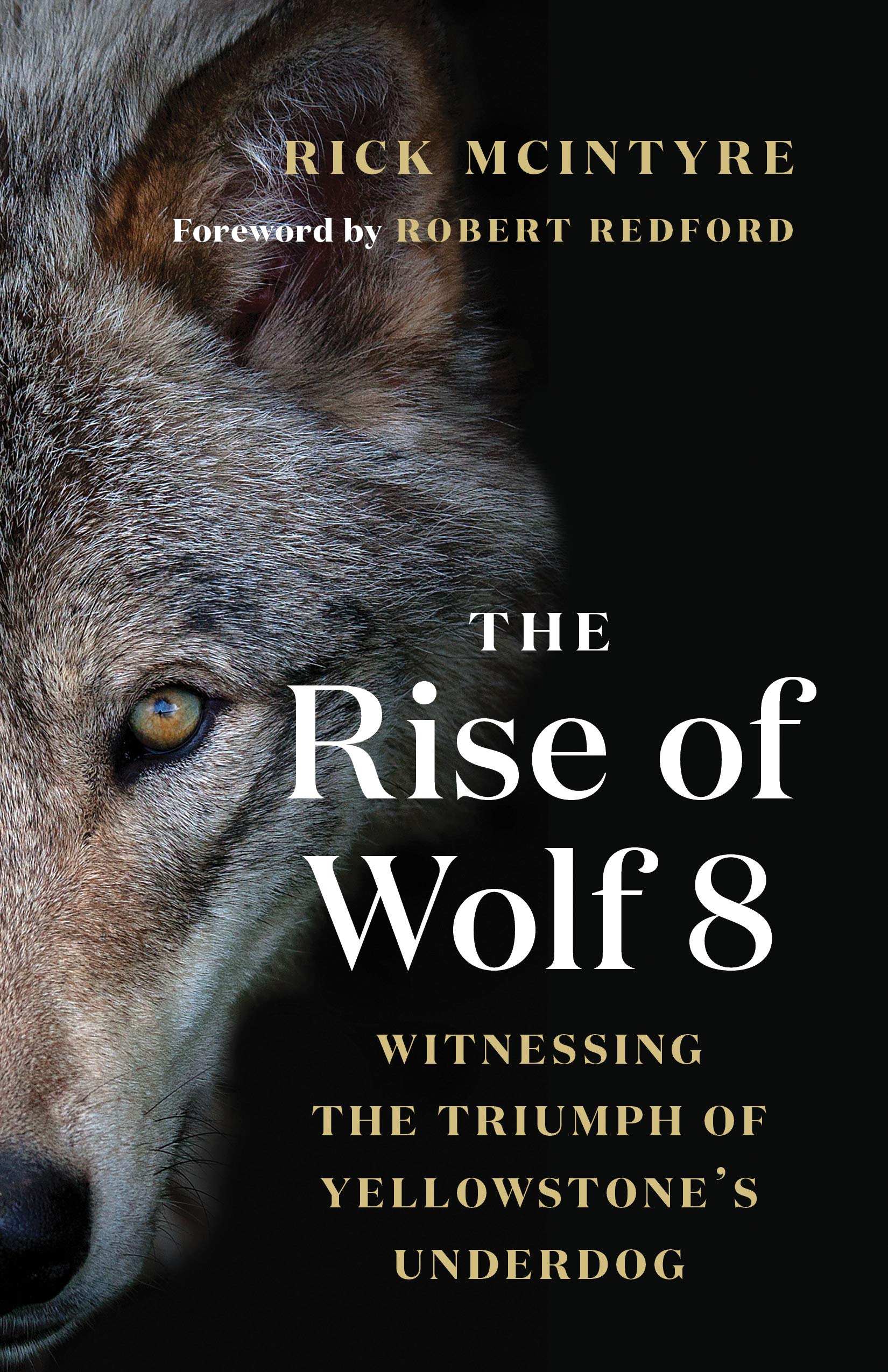 The Rise of Wolf 8: Witnessing the Triumph of Yellowstone's Underdog (The Alpha Wolves of Yellowstone Book 1)