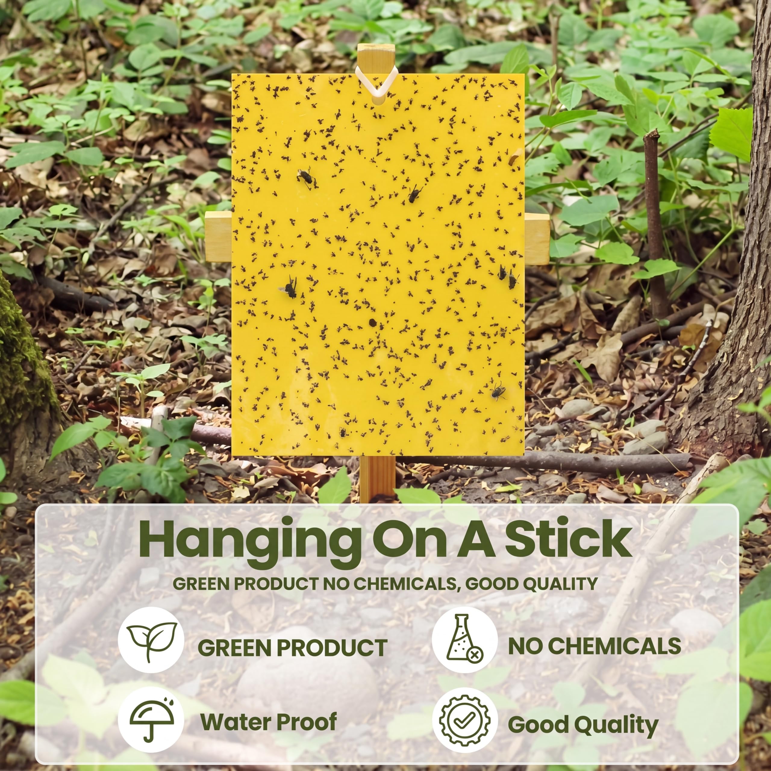 Qualirey 250 trampas adhesivas amarillas para mosquitos, trampas de mosquitos de doble cara de 6 x 8 pulgadas para plantas de interior y exterior, tarjetas adhesivas para moscas de la fruta, moscas