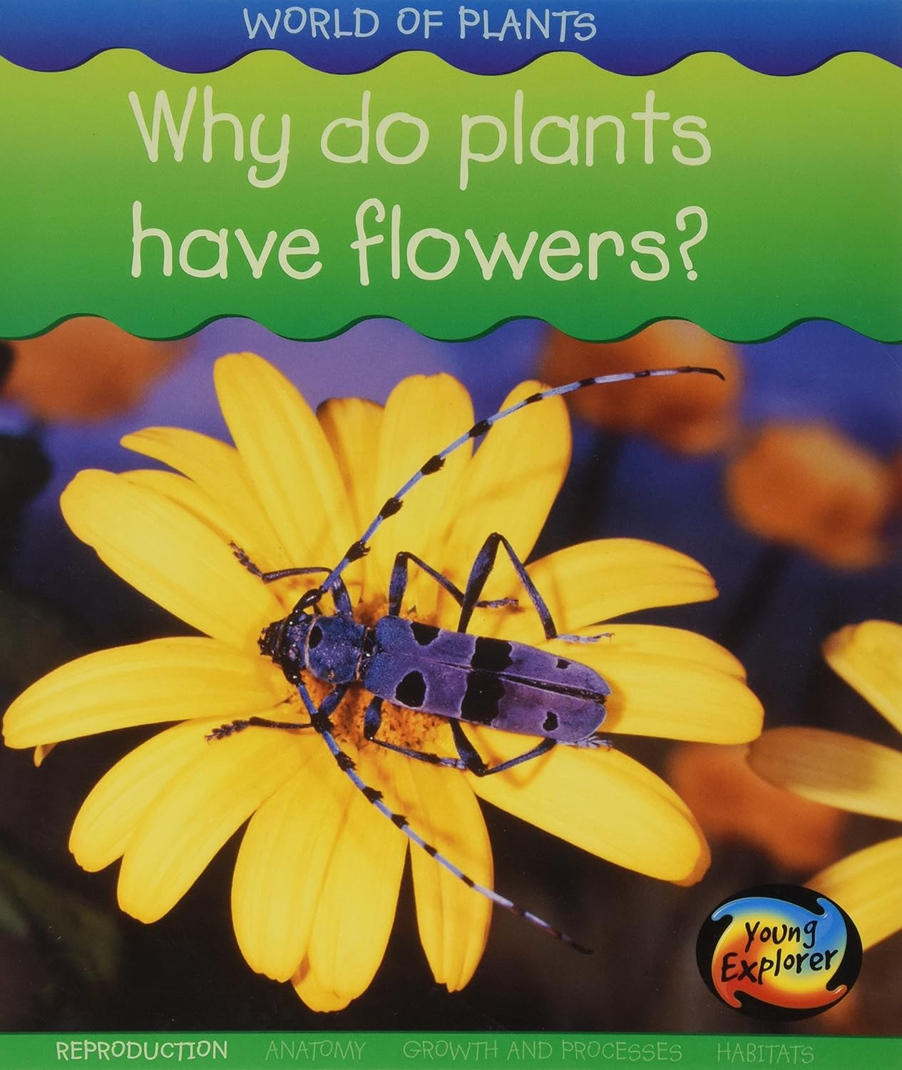 Why do Plants have Flowers (Young Explorer World of Plants) Spilsbury, Louise 9781406245837