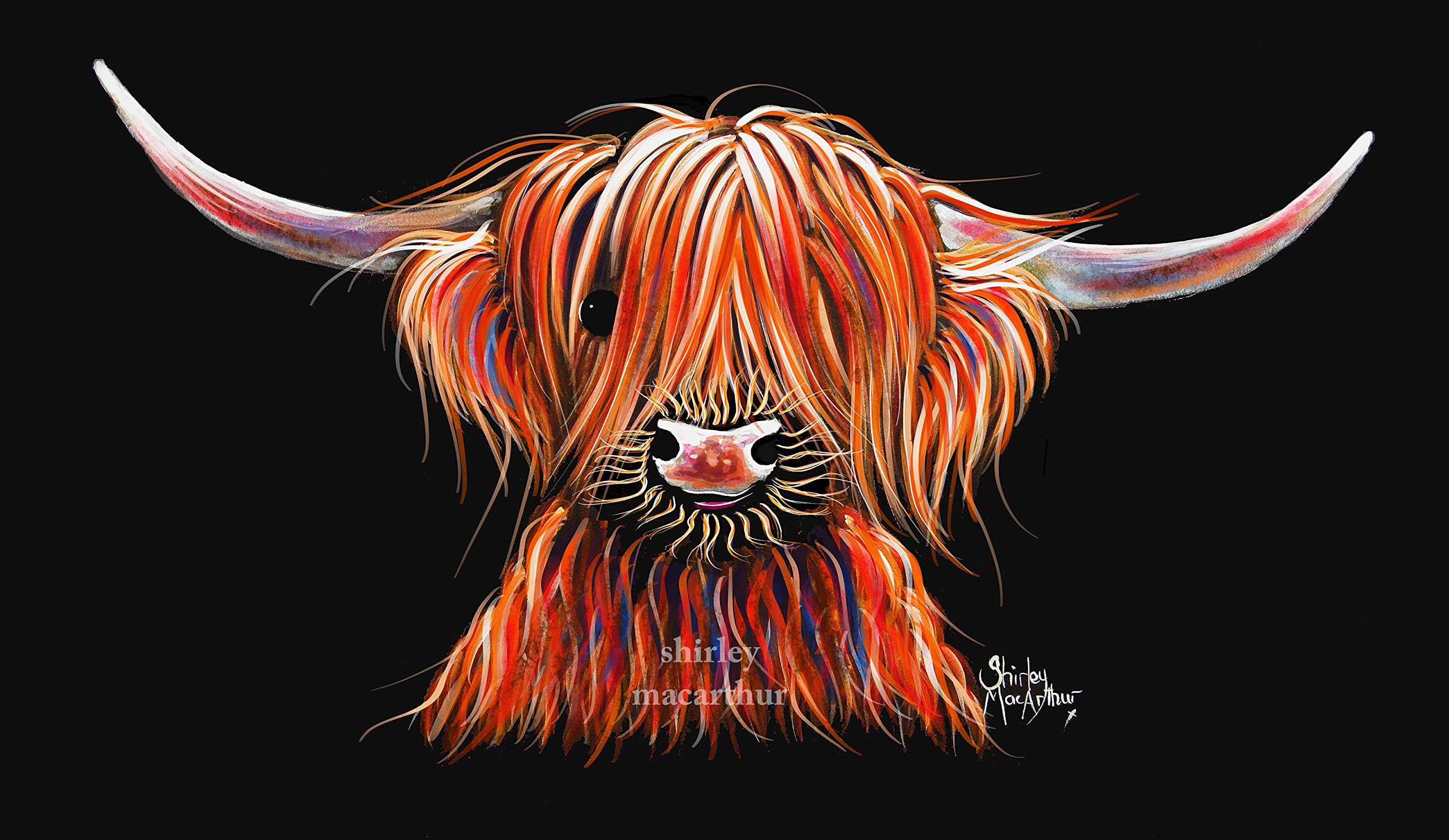 Highland Cow Print Box Canvas (Wall Art, Cow Print, Cow Canvas, Scottish Gifts) from Painting Large 30 x 15 INCH Highland Cows ' Harley ' by SHiRLeY MacARTHuR