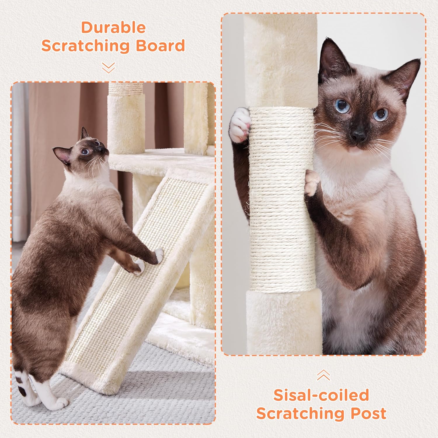 Images showing a cat using the scratching board and a sisal-coiled scratching post.