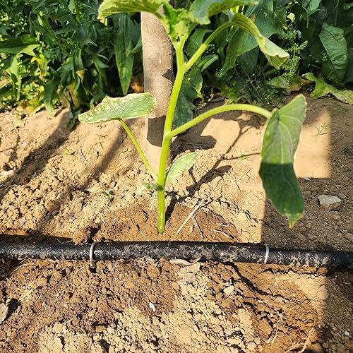 Miniatura 5 de Atlantic Manguera corta de 12 pulgada x 2 pies, conectores de latón macizo con revestimiento de grado alimenticio, mantiene tus plantas saludables