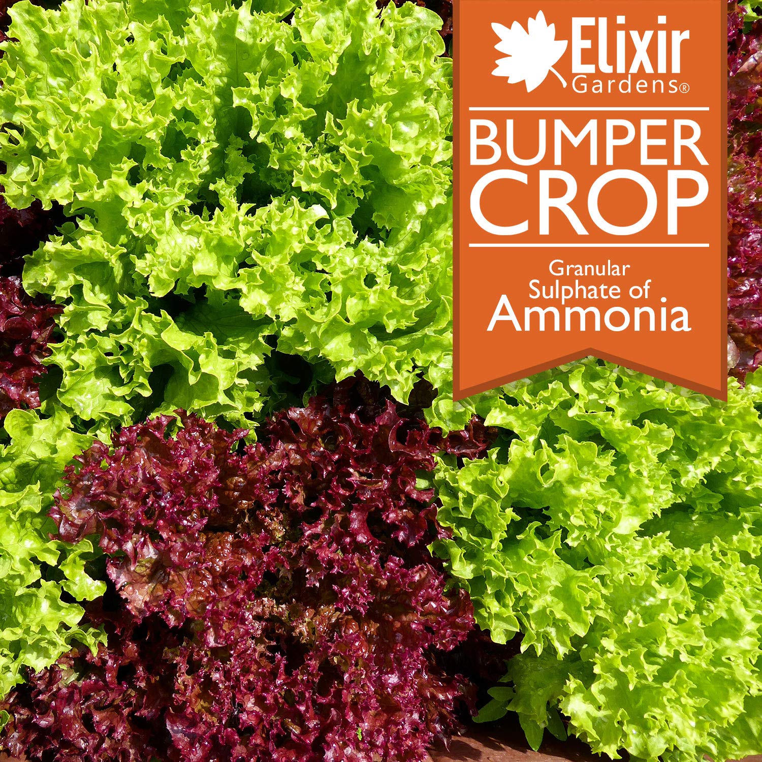 Buy Elixir Gardens Bumper Crop - Sulphate Of Ammonia Fertiliser Various Quantities Available From 1 Kg To 25 Kg 5 Kg Tub Treats 250 Gsm