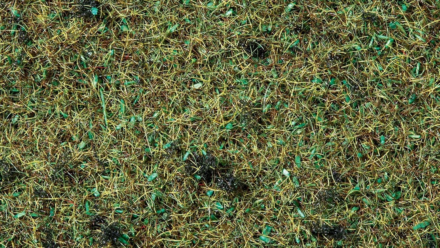 Noch 8350 Scatter mtrl forest G,0,H0,TT,N,Z Scale