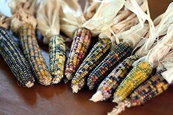 グラスジェムコーン太め 60本詰め合わせ グラスジェムコーン太め 60