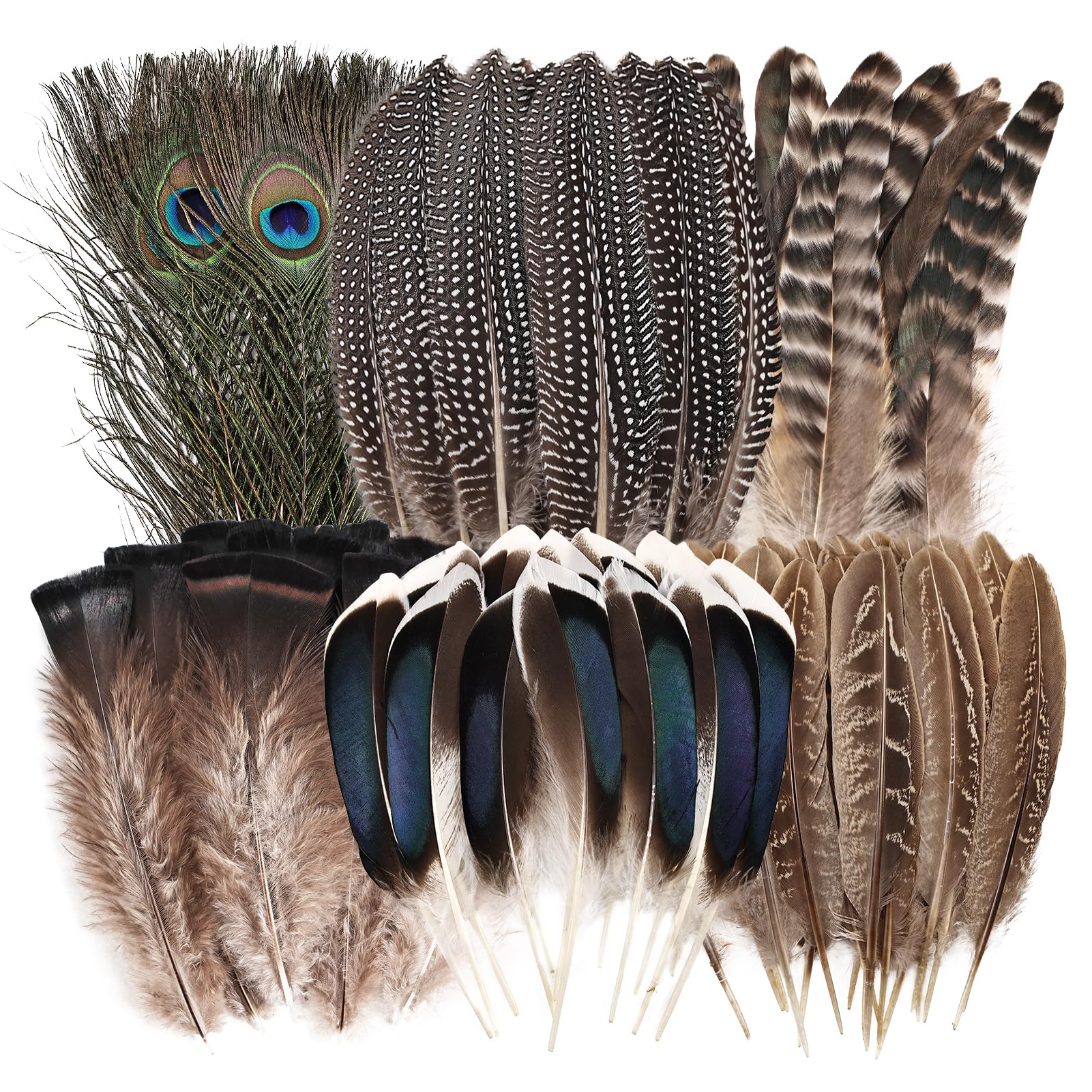 Natural Feathers Bulk - 55PCS - 6 Styles Assorted Natural Feathers, Peacock Feathers, Pheasant Feathers, Turkey Feathers for DIY Crafts, Wedding, Crafting Supplies