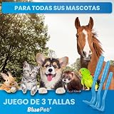 Ver la foto 4
